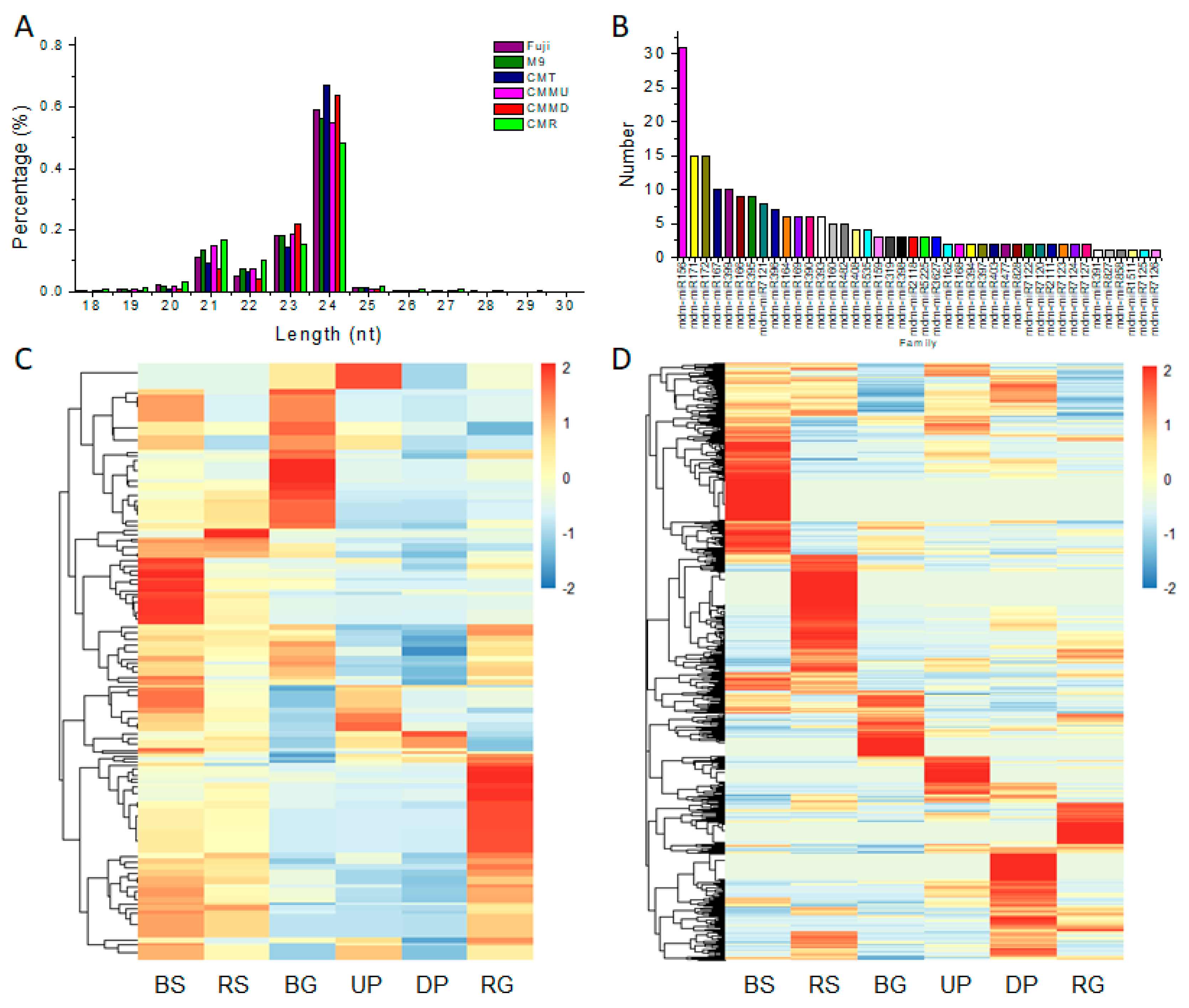 Ijms 19 02384 g004 Ijms 19 02384 g004