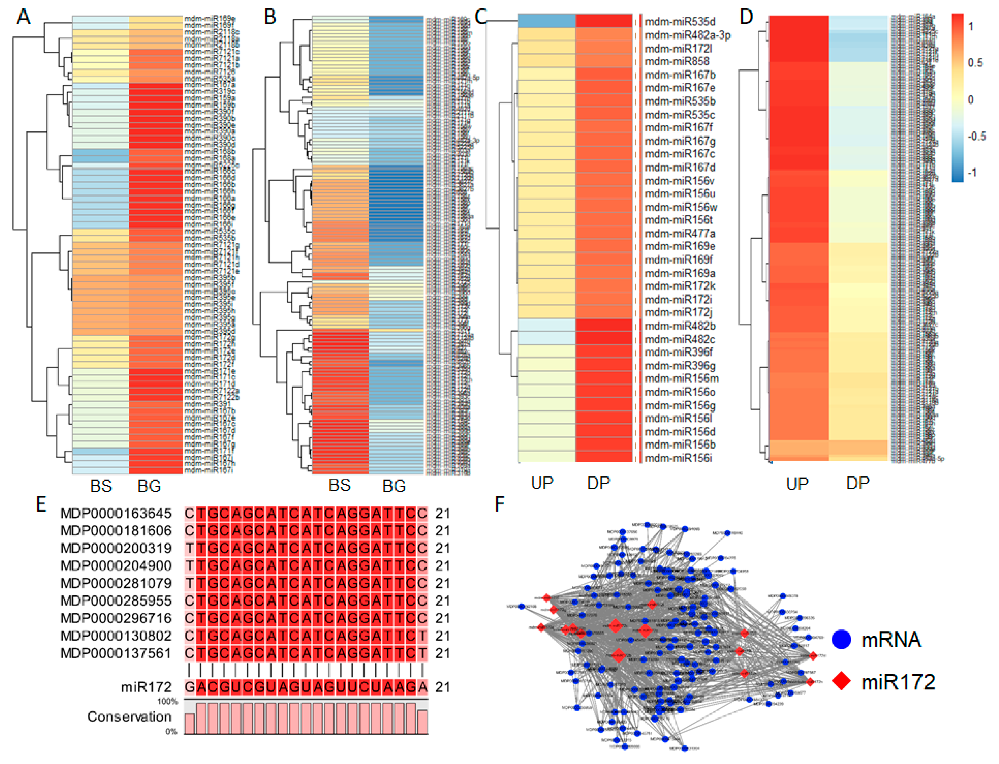Ijms 19 02384 g006 Ijms 19 02384 g006