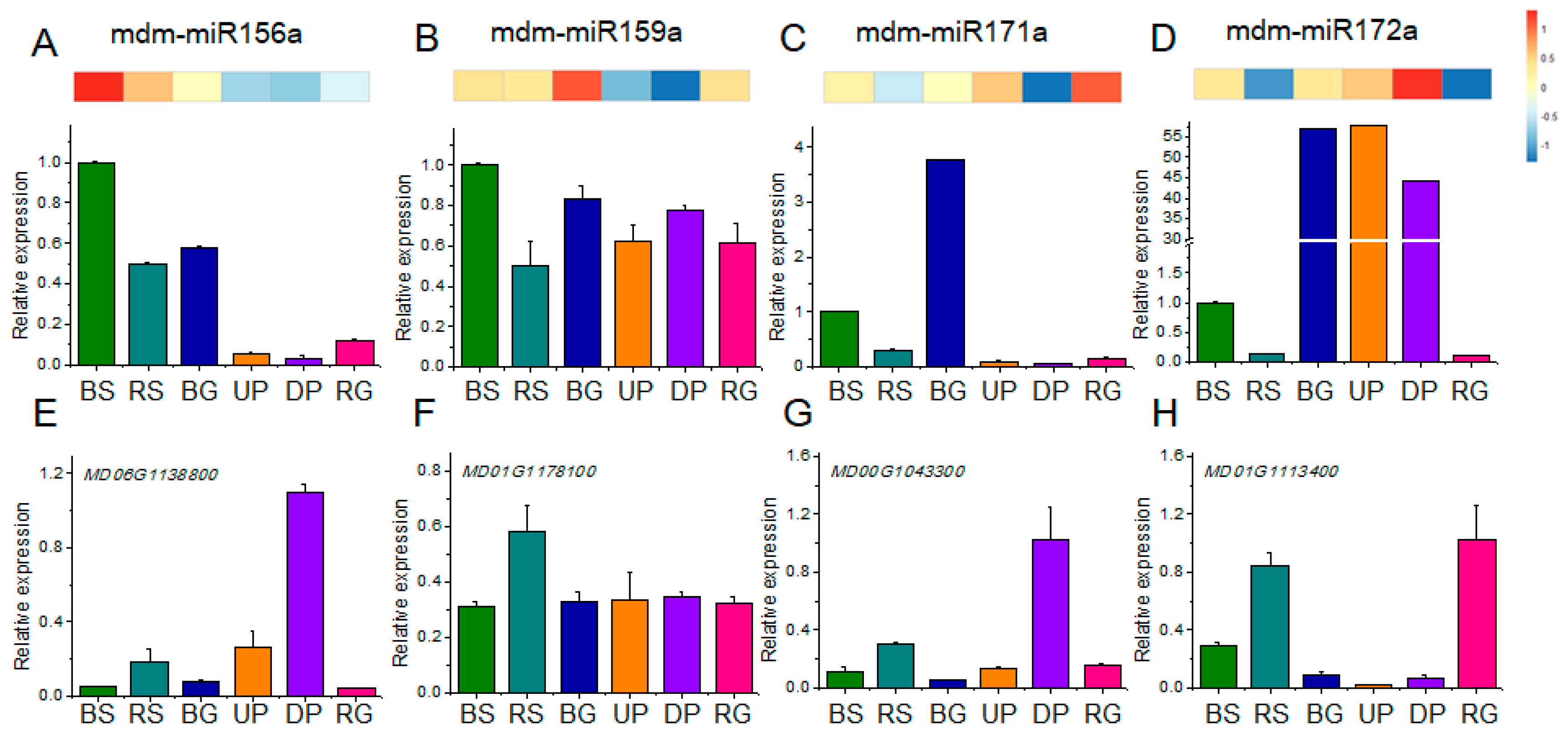 Ijms 19 02384 g008 Ijms 19 02384 g008