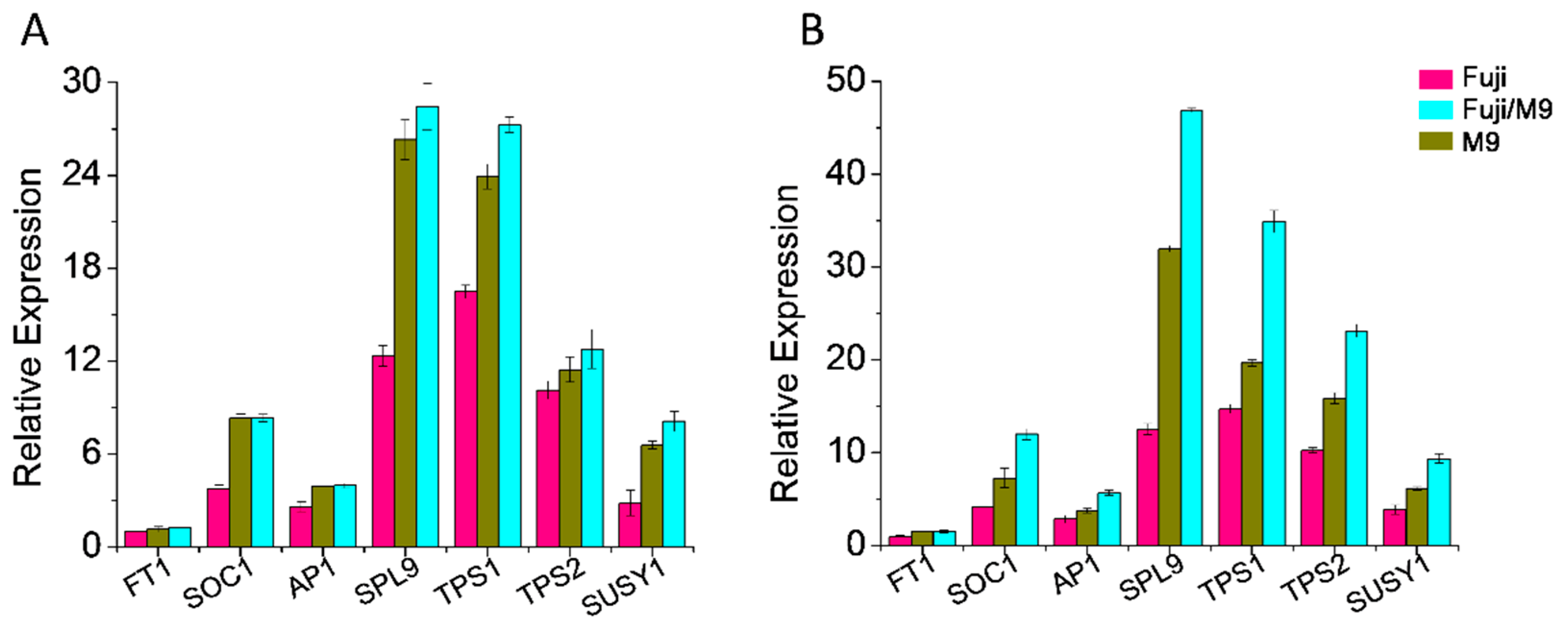 Ijms 19 02384 g009 Ijms 19 02384 g009