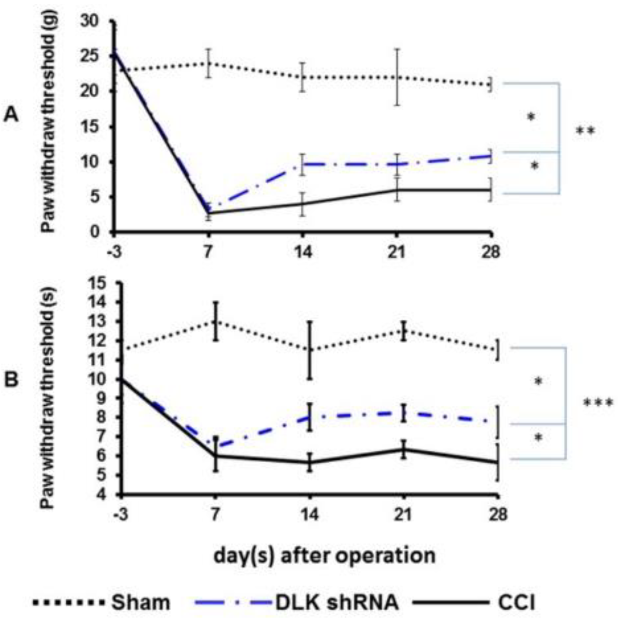 Ijms 19 02421 g005 Ijms 19 02421 g005
