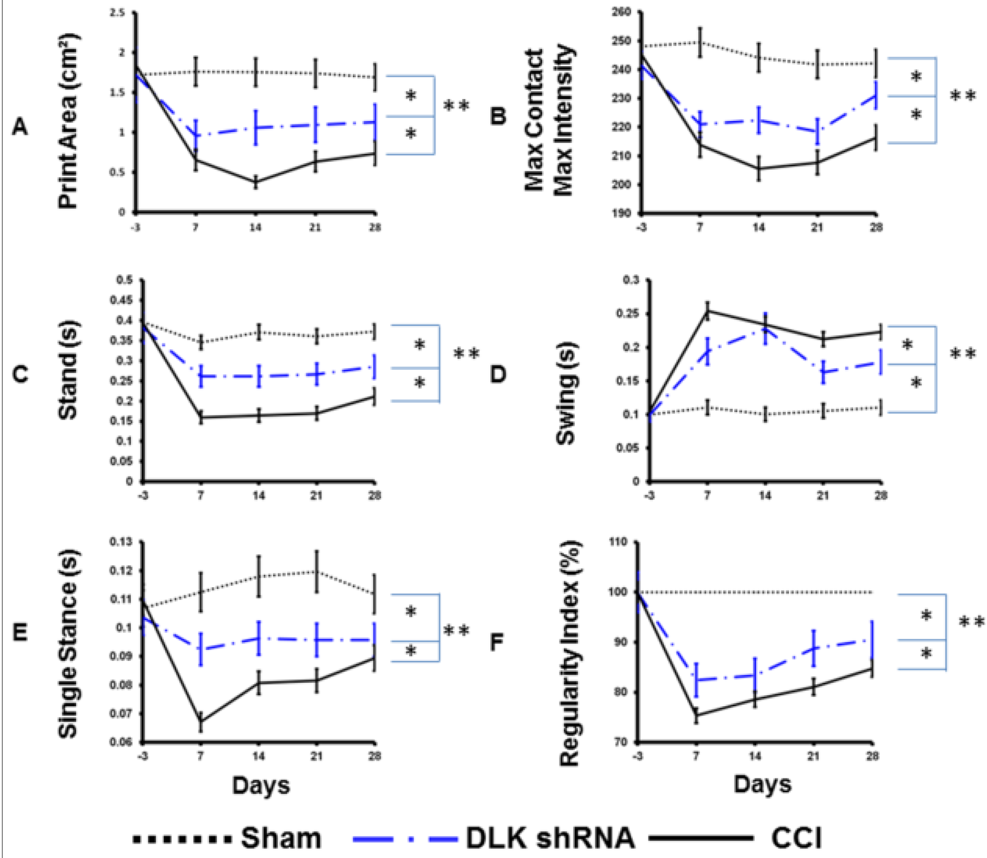 Ijms 19 02421 g006 Ijms 19 02421 g006