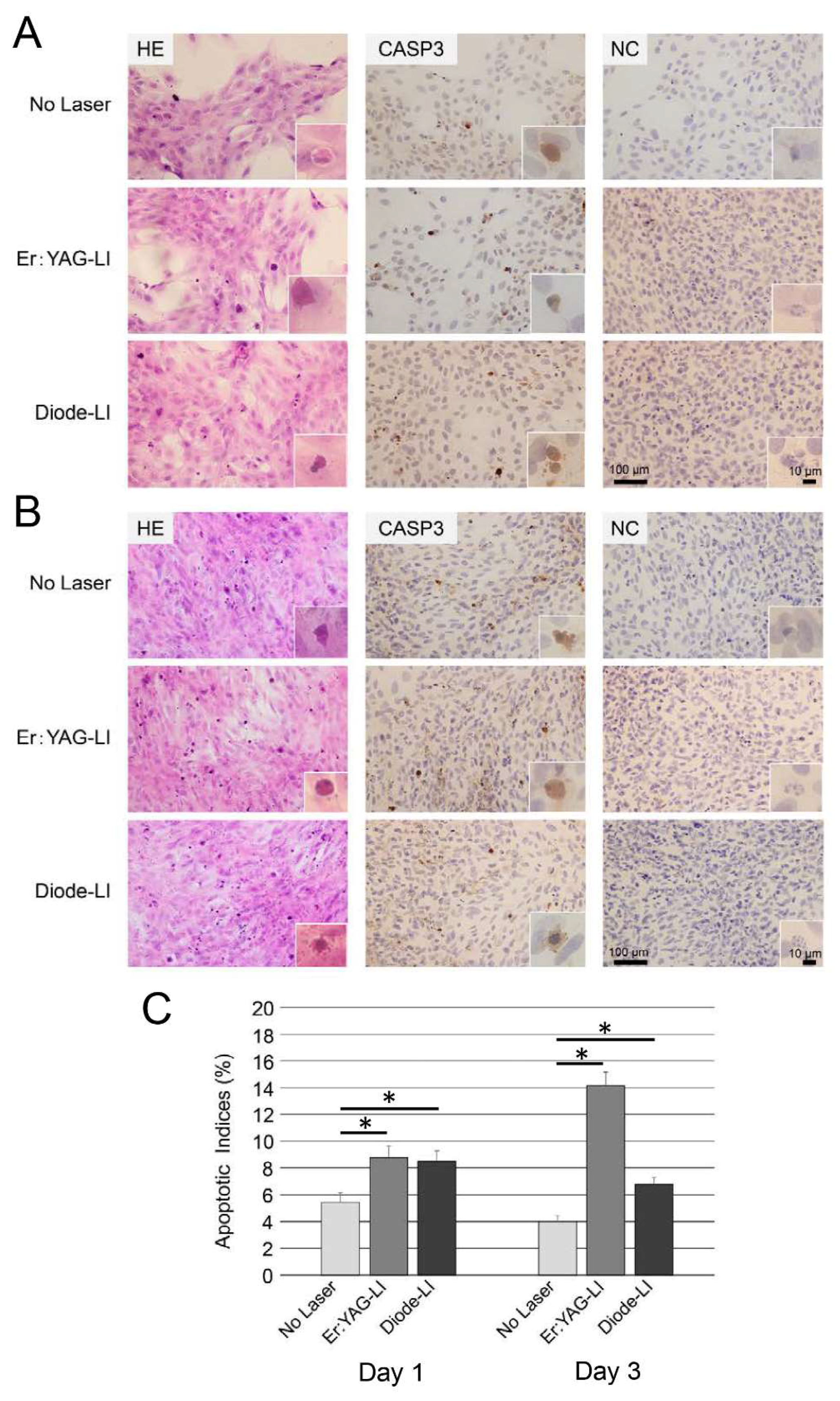 Ijms 19 02429 g002 Ijms 19 02429 g002