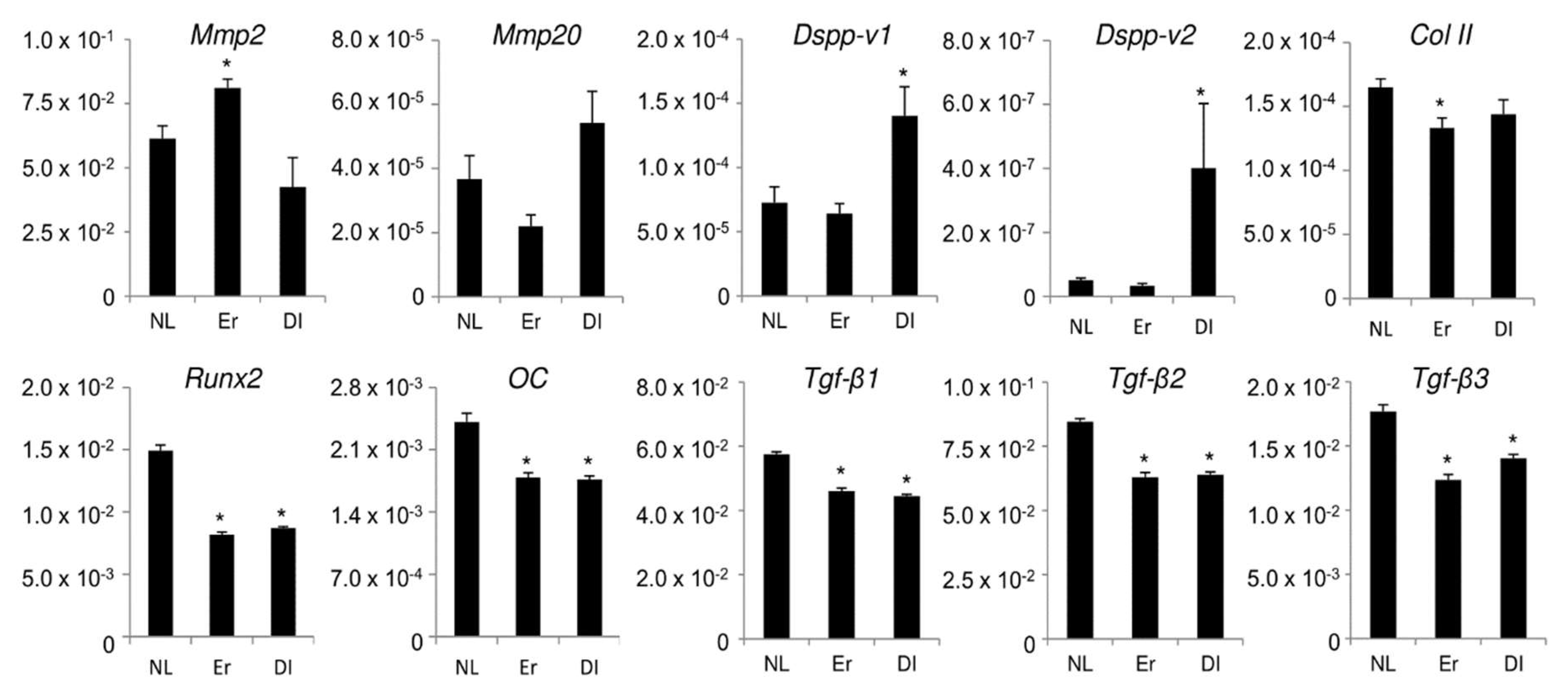 Ijms 19 02429 g003 Ijms 19 02429 g003