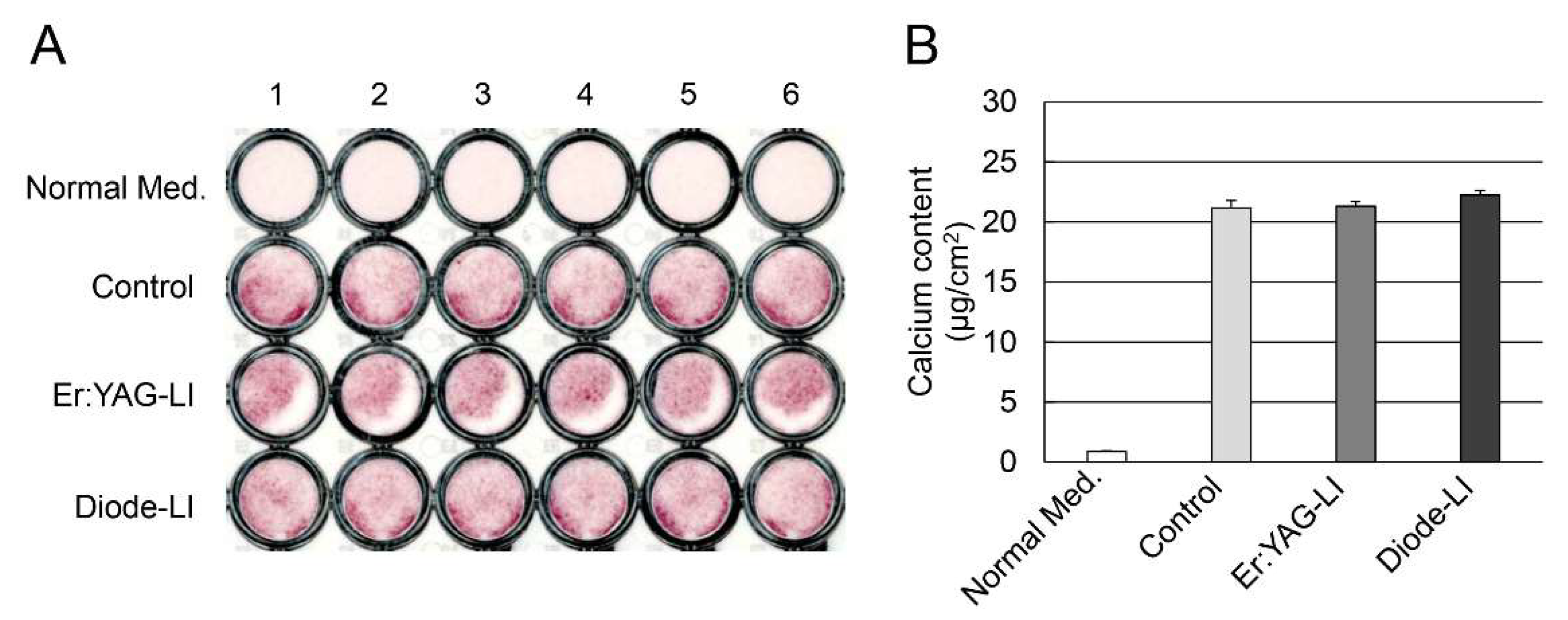 Ijms 19 02429 g005 Ijms 19 02429 g005