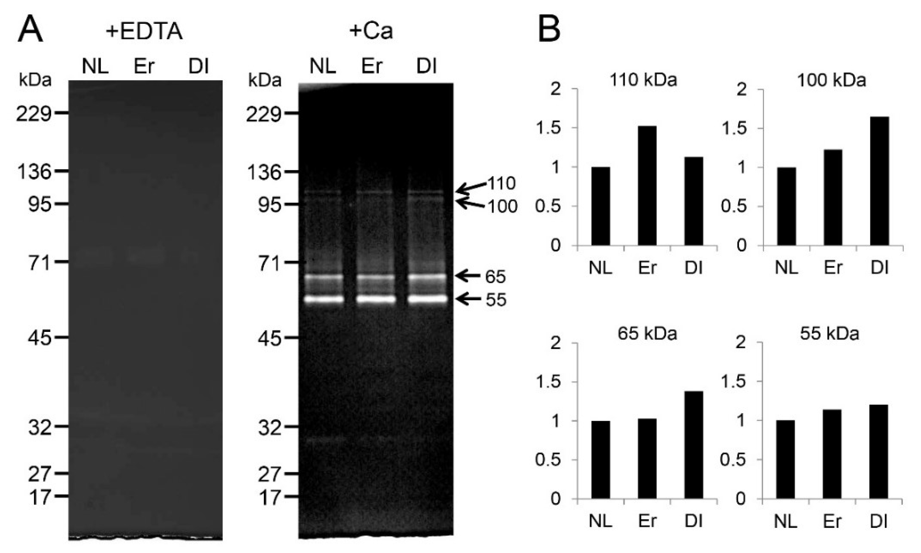 Ijms 19 02429 g006 Ijms 19 02429 g006