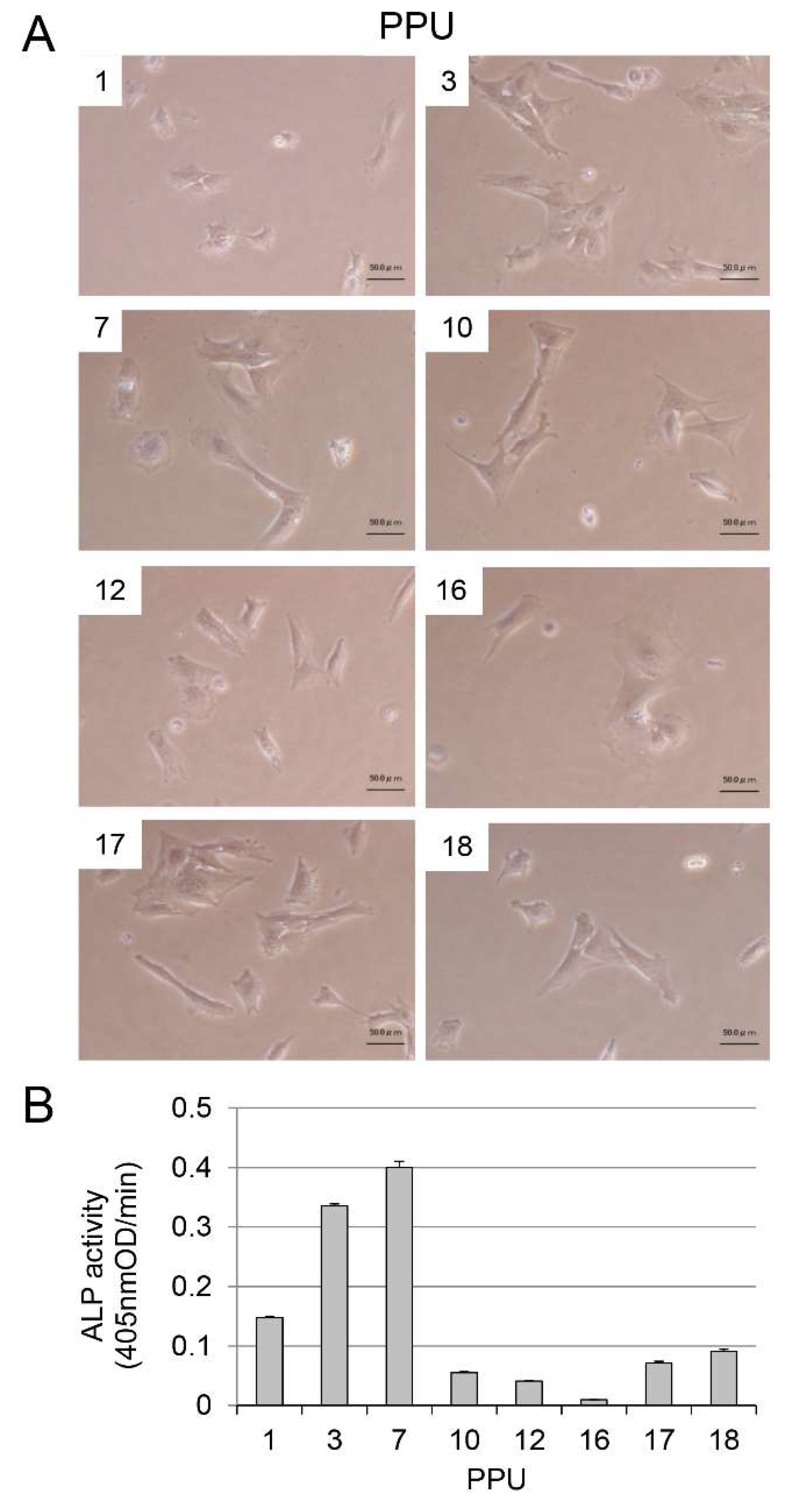 Ijms 19 02429 g0a1 Ijms 19 02429 g0a1