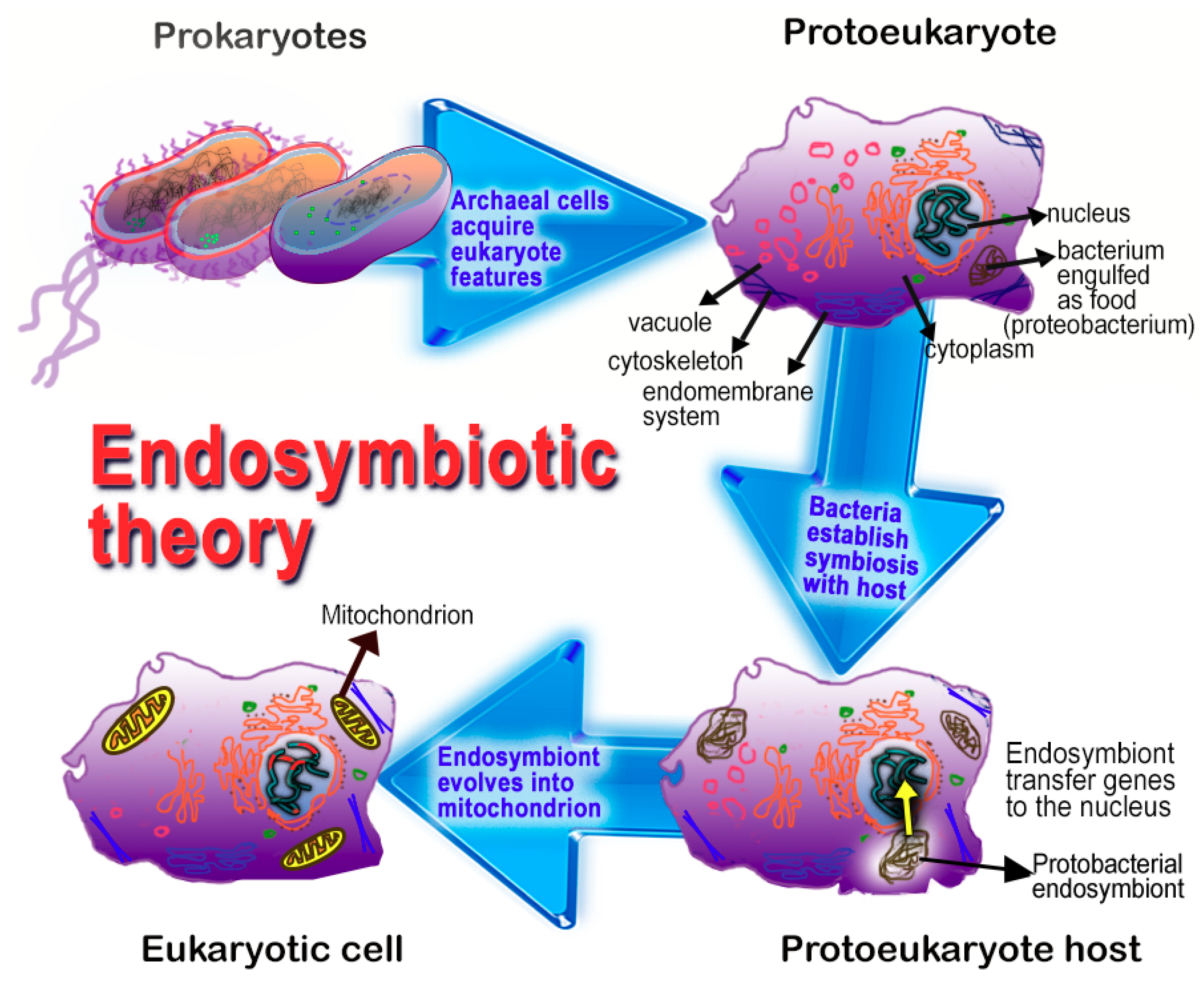Ijms 19 02439 g005 Ijms 19 02439 g005