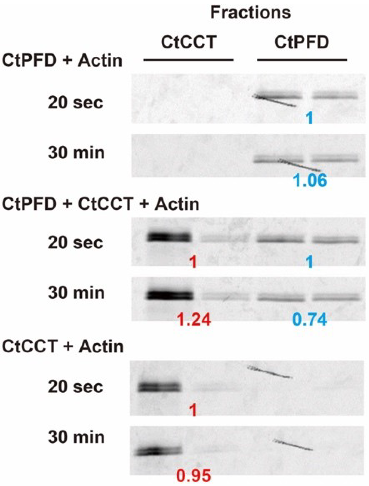 Ijms 19 02452 g007 Ijms 19 02452 g007