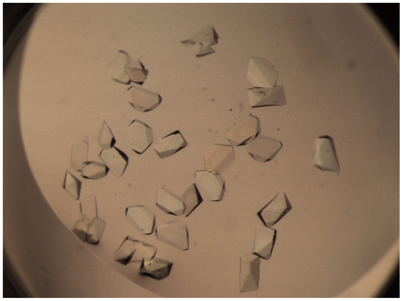 Ijms 19 02452 g008 Ijms 19 02452 g008