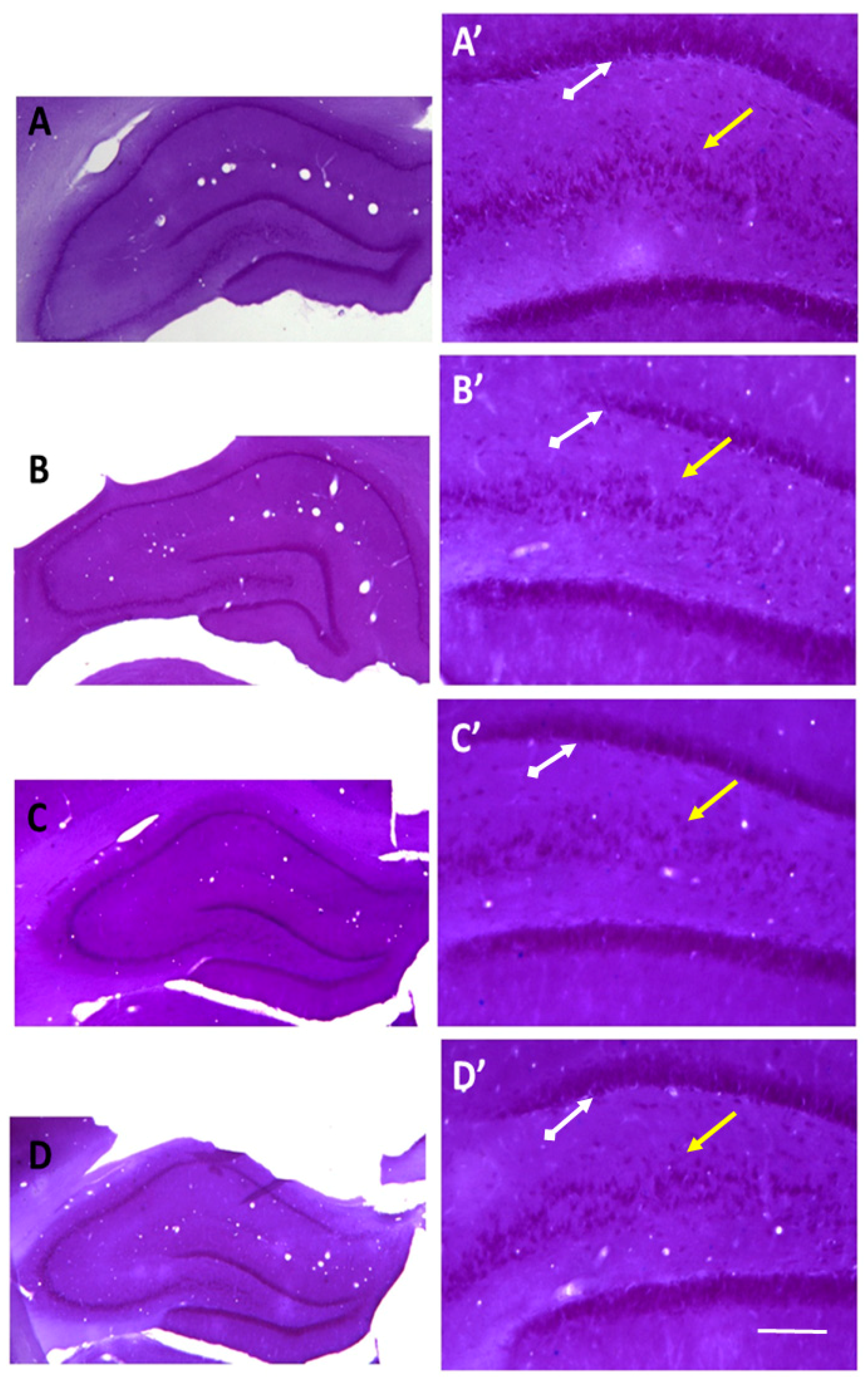 Ijms 19 02461 g007 Ijms 19 02461 g007