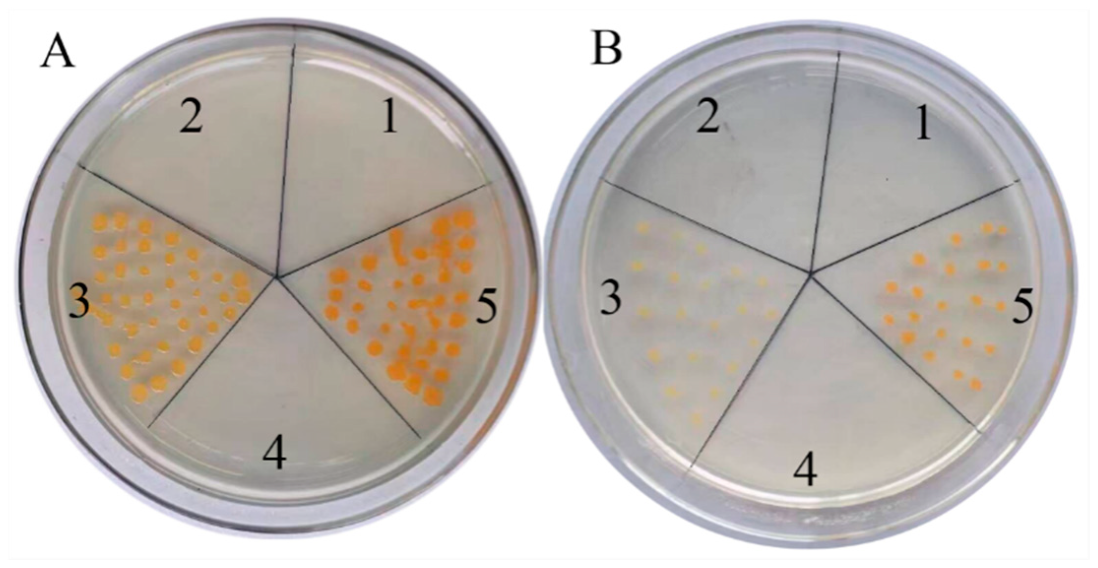 Ijms 19 02476 g003 Ijms 19 02476 g003