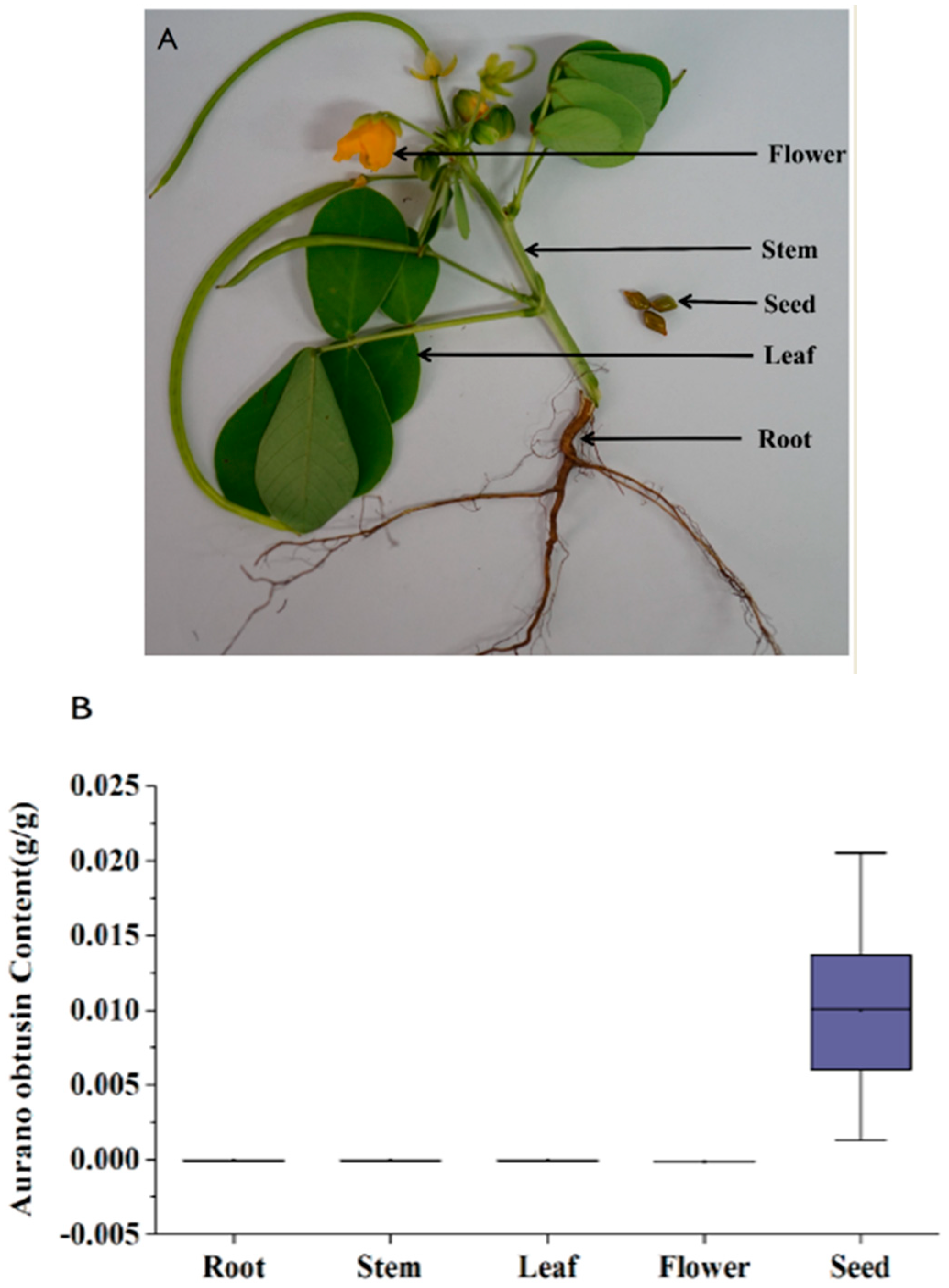 Ijms 19 02476 g005a Ijms 19 02476 g005a