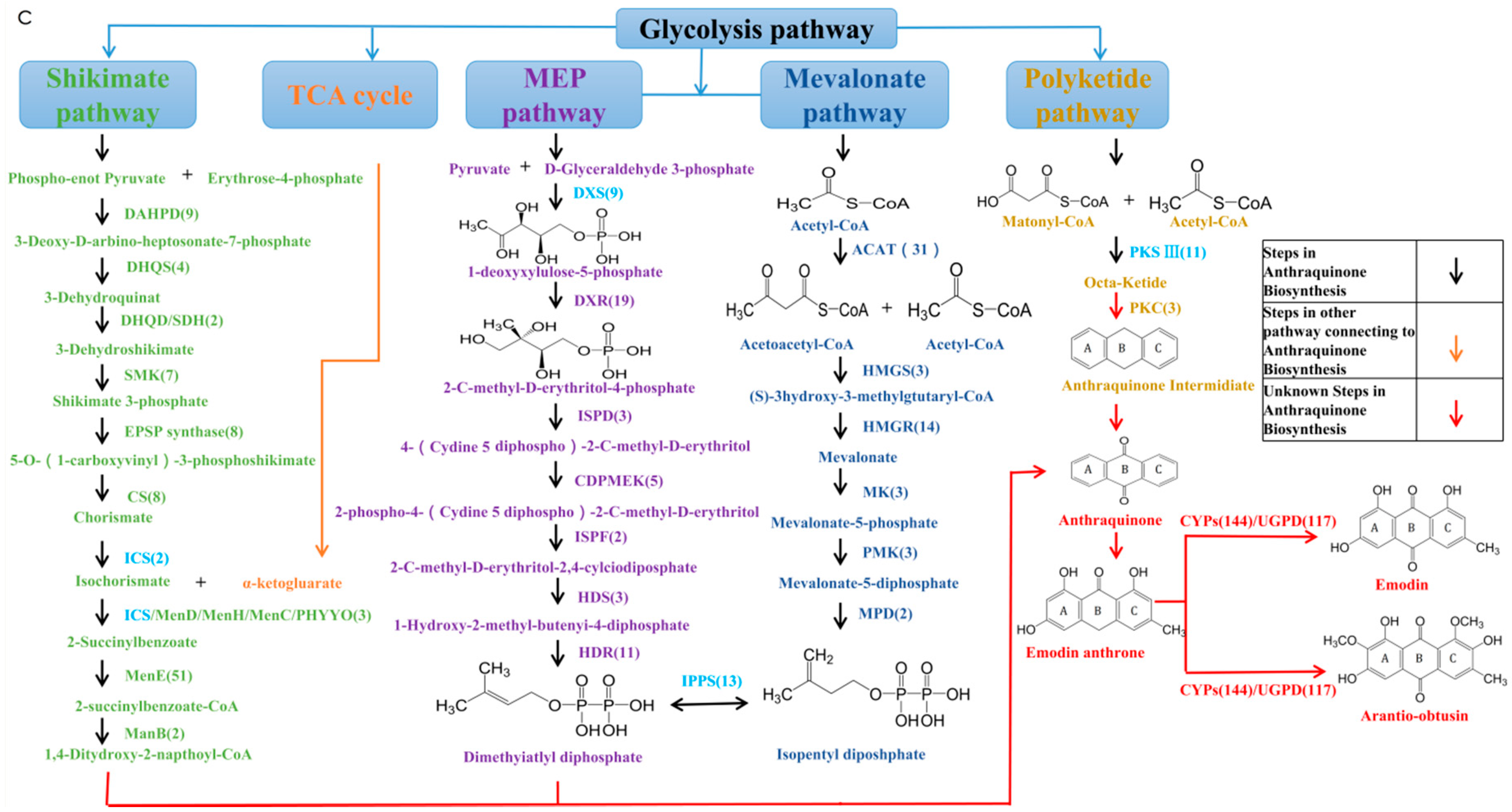 Ijms 19 02476 g005b Ijms 19 02476 g005b
