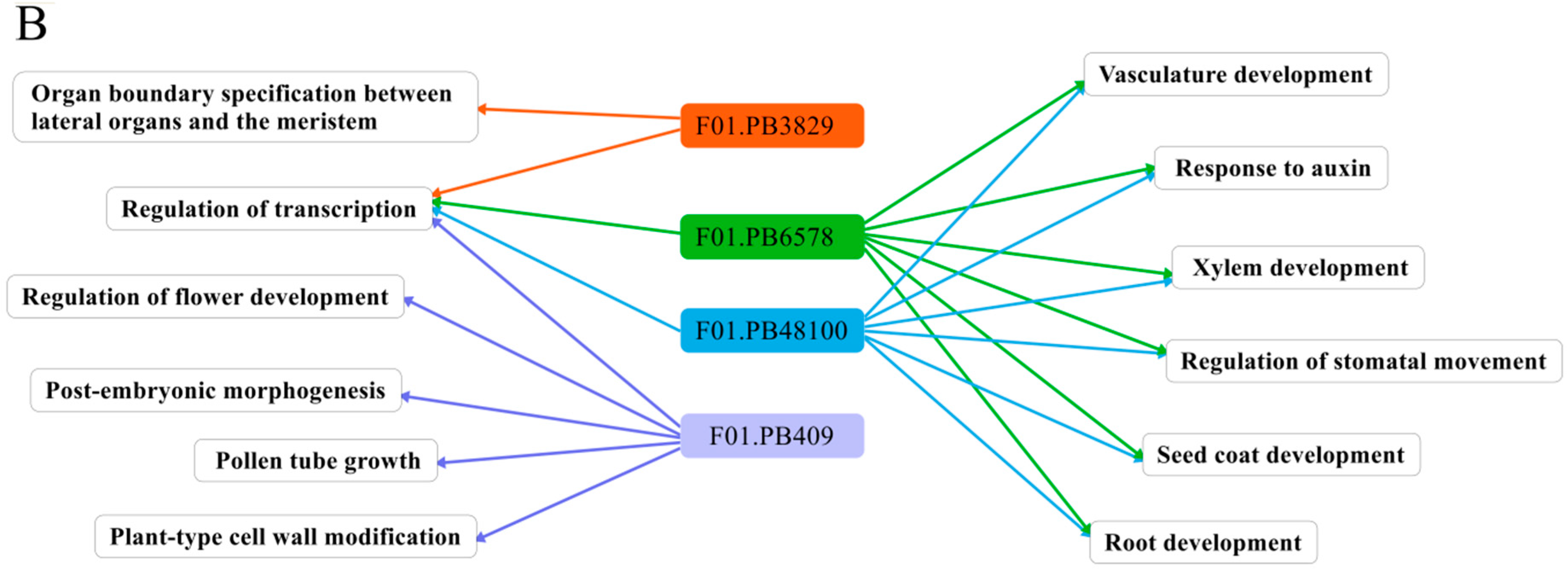 Ijms 19 02476 g009b Ijms 19 02476 g009b