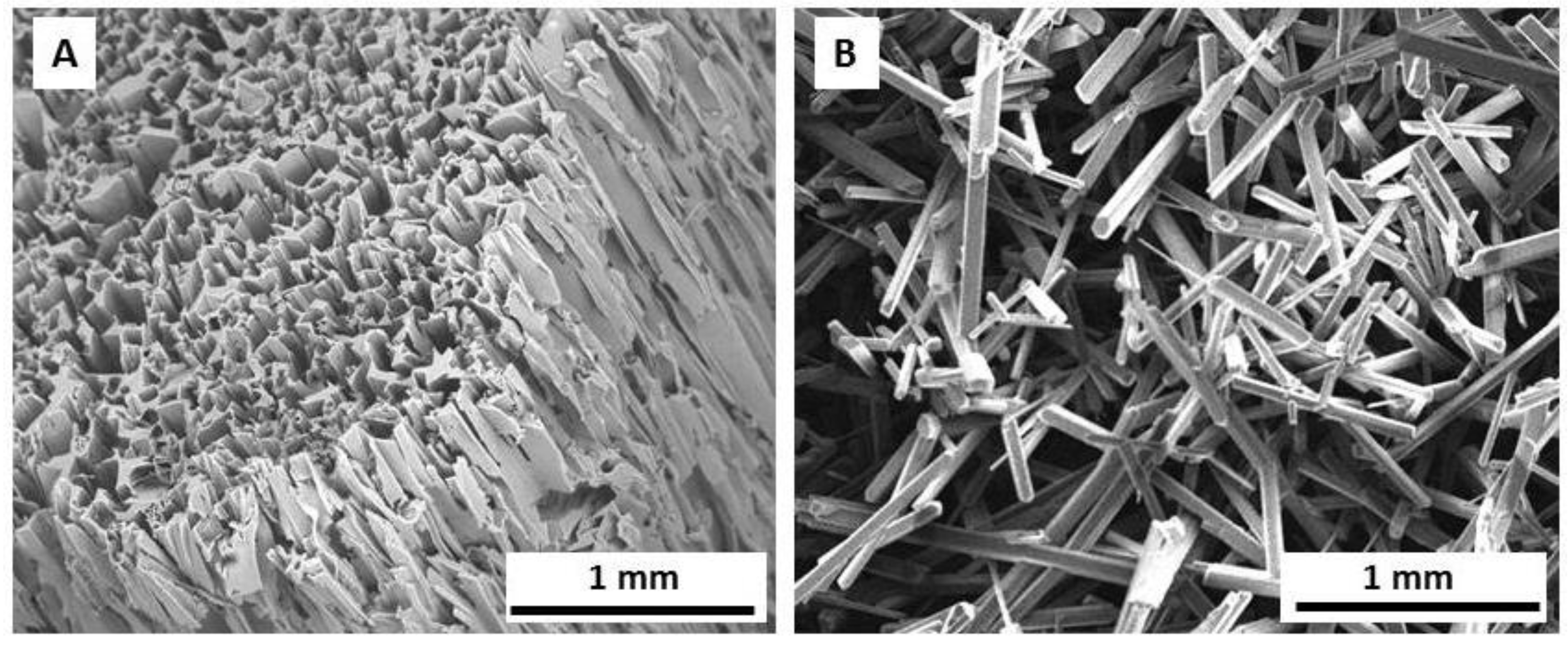 Ijms 19 02481 g001 Ijms 19 02481 g001