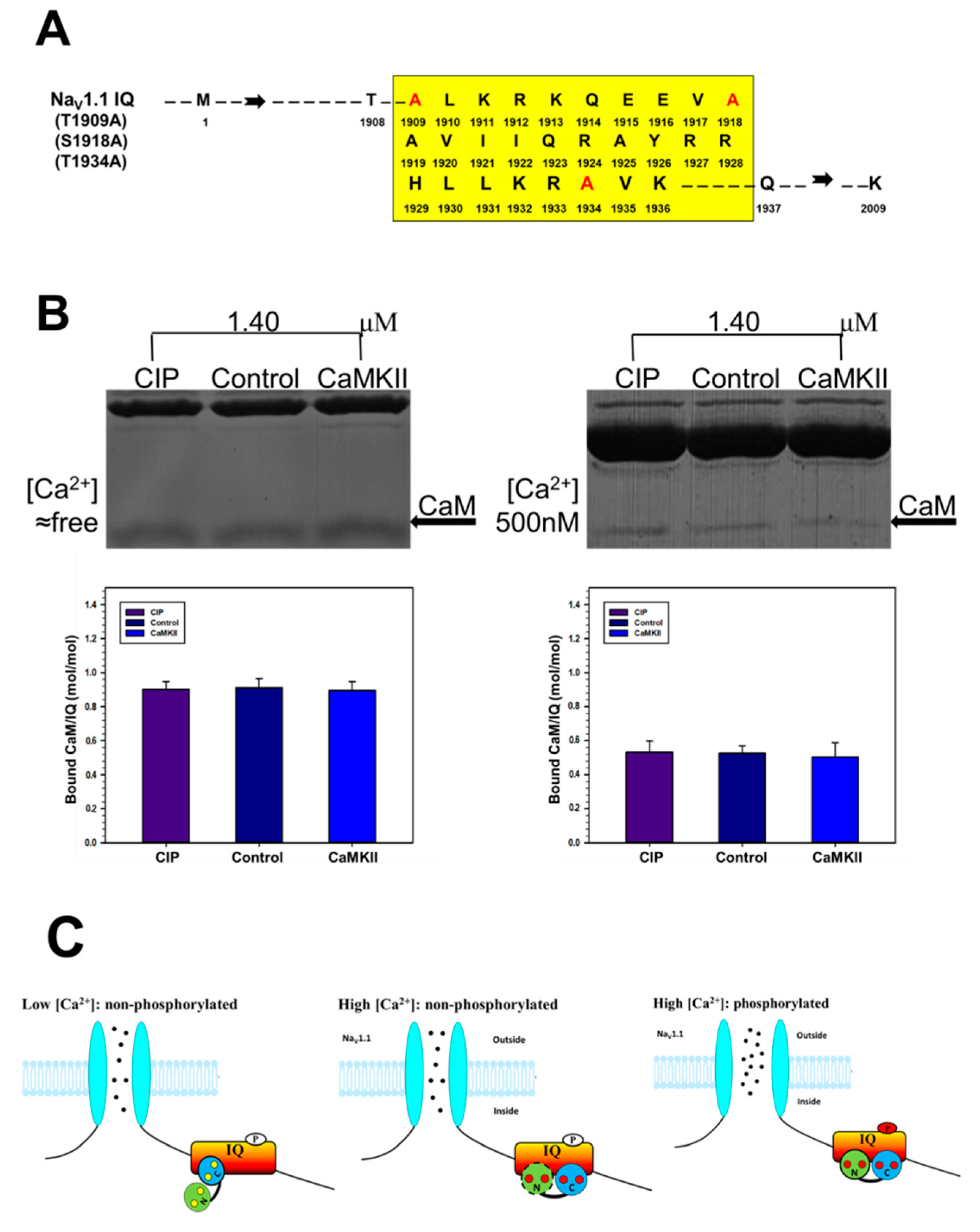 Ijms 19 02495 g007