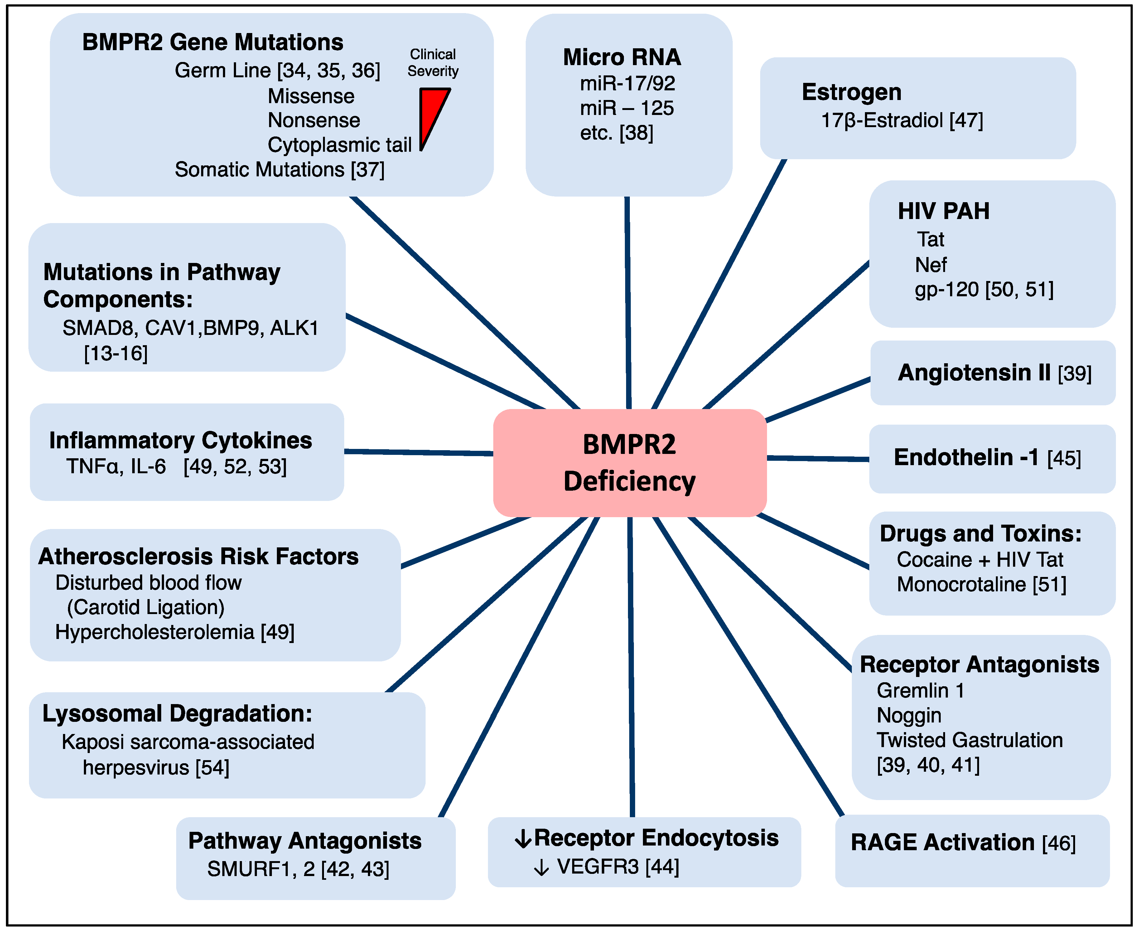 Ijms 19 02499 g003 Ijms 19 02499 g003