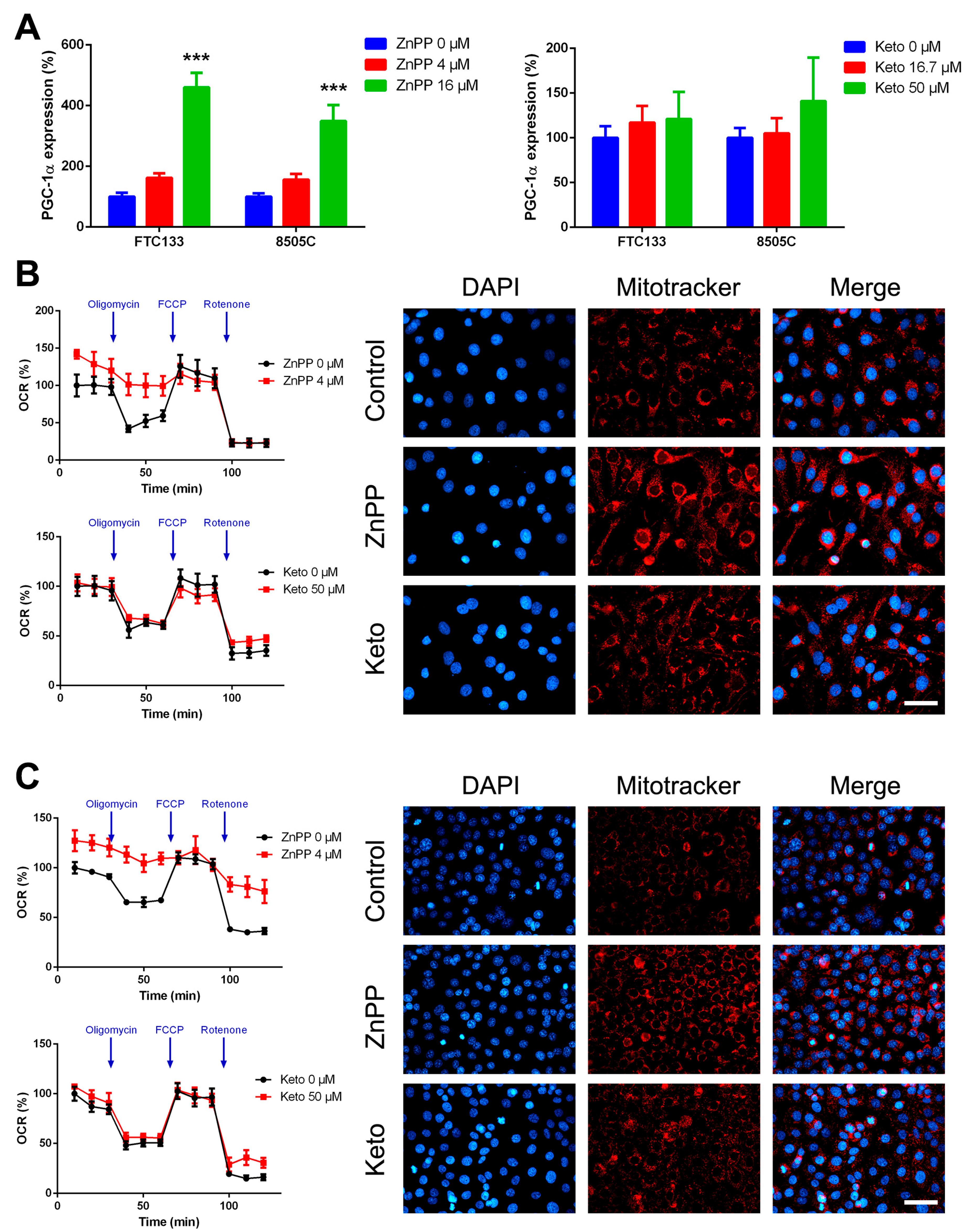 Ijms 19 02502 g005 Ijms 19 02502 g005