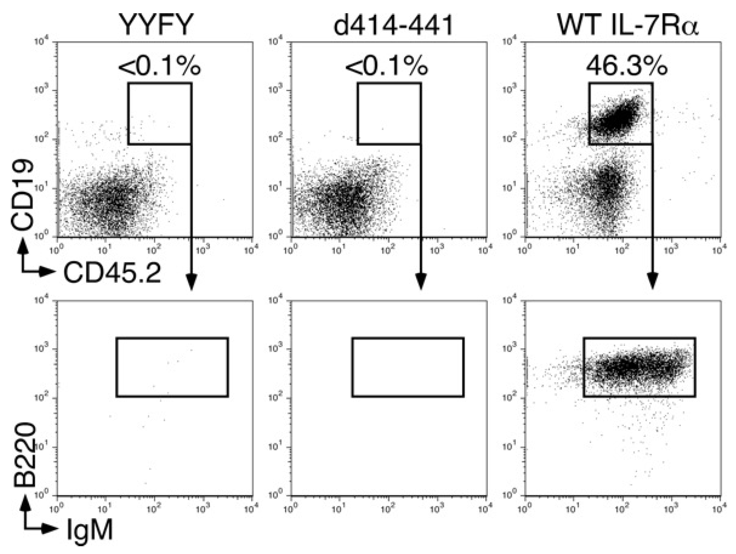 Ijms 19 02522 g003 Ijms 19 02522 g003