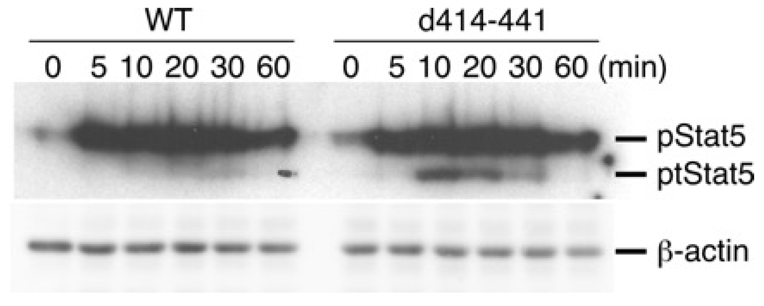 Ijms 19 02522 g004 Ijms 19 02522 g004