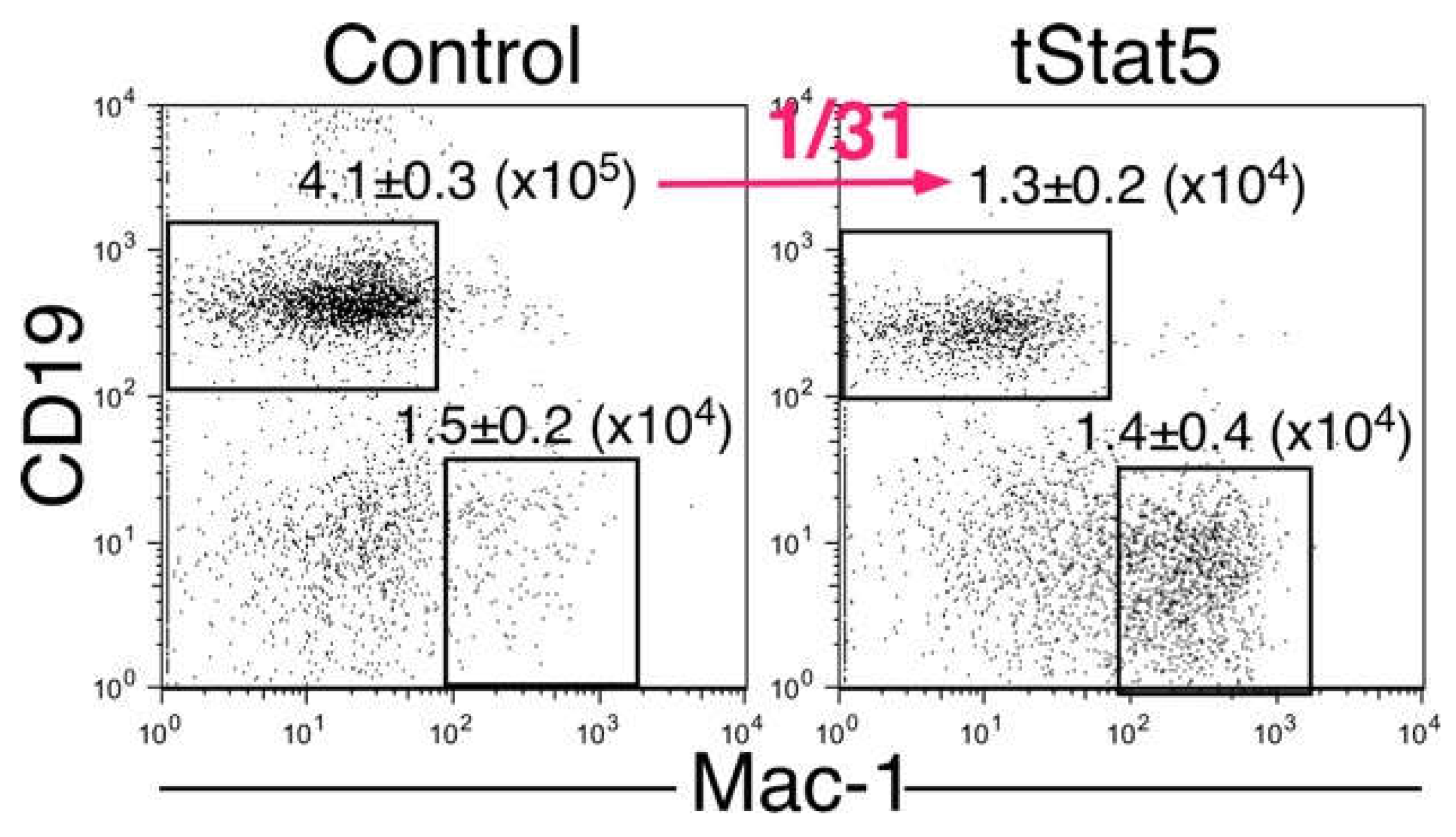 Ijms 19 02522 g005 Ijms 19 02522 g005