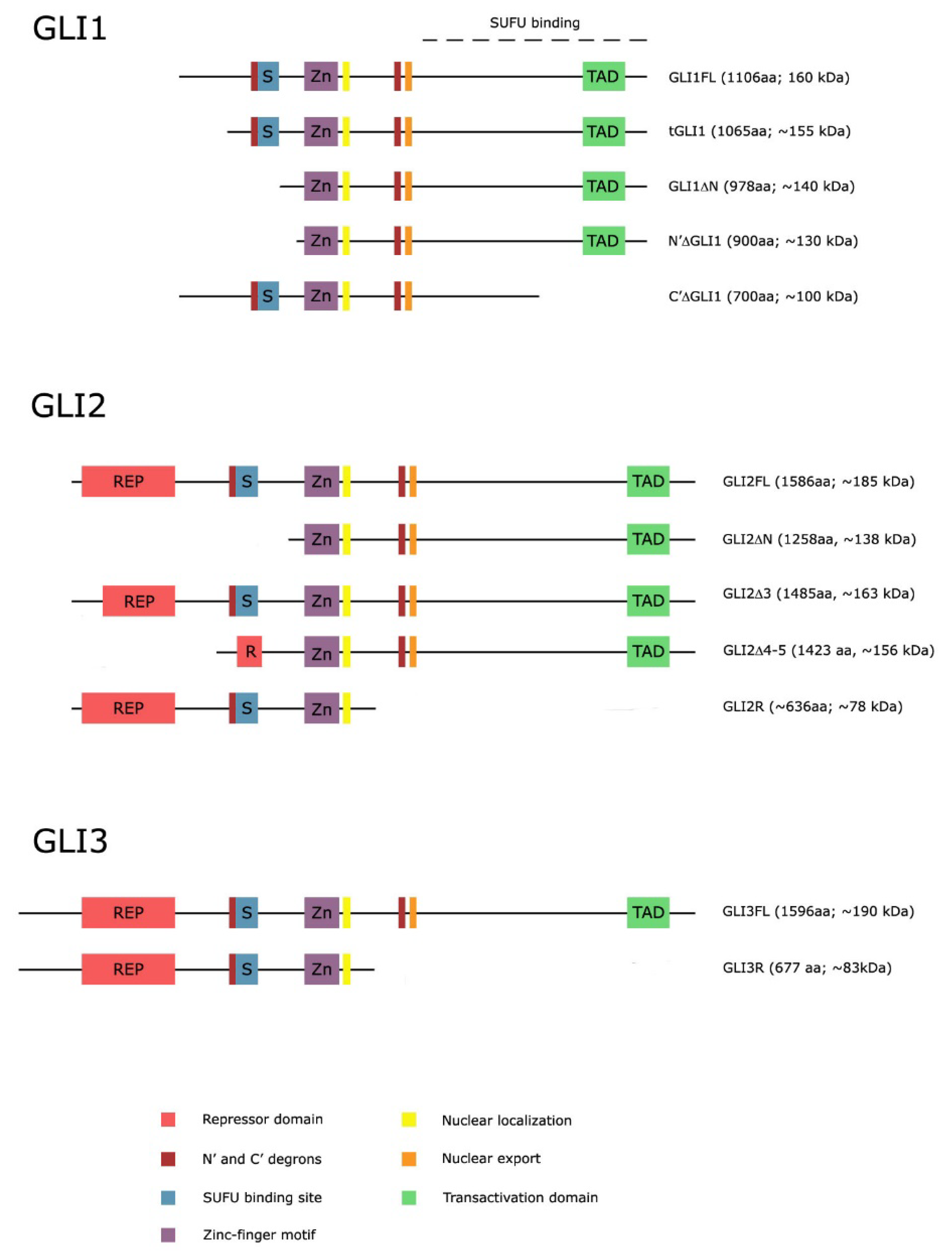 Ijms 19 02562 g002
