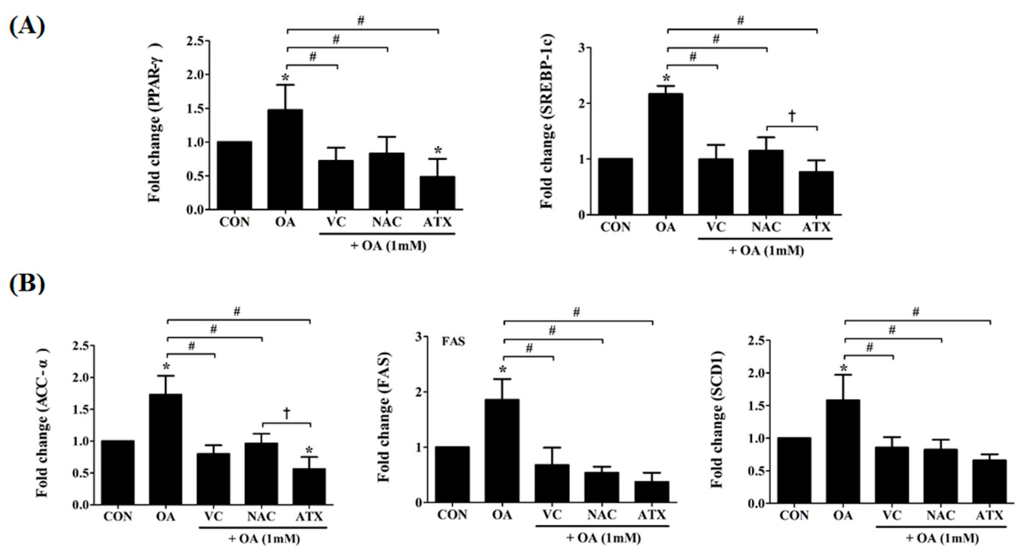 Ijms 19 02563 g008 Ijms 19 02563 g008