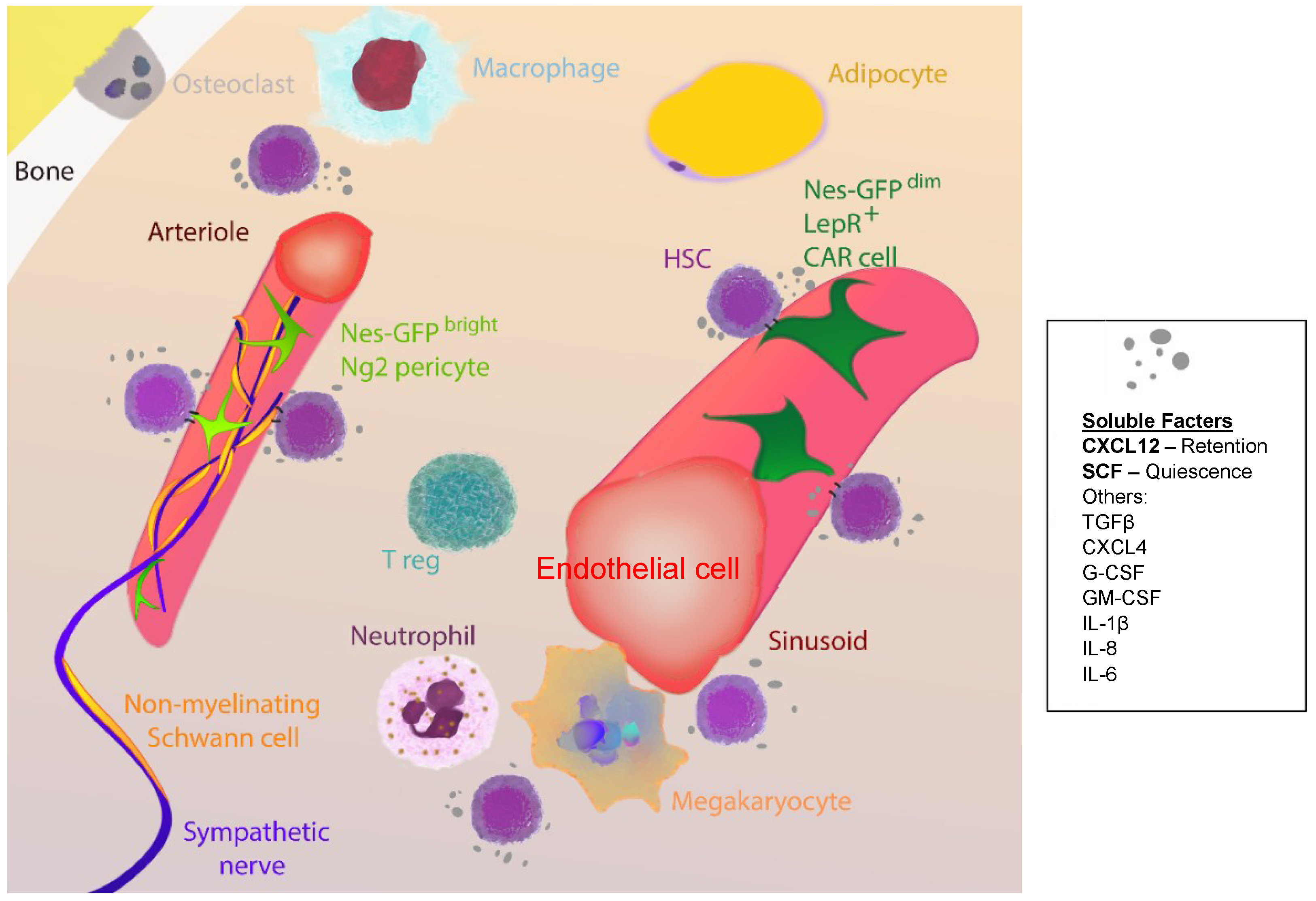 Ijms 19 02567 g002 Ijms 19 02567 g002