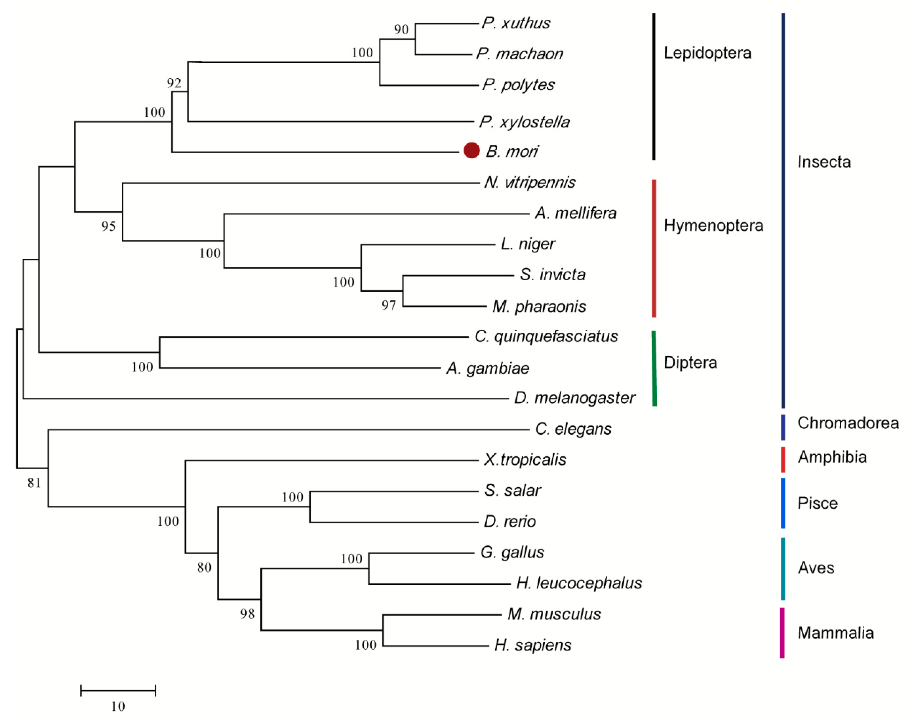 Ijms 19 02581 g002 Ijms 19 02581 g002