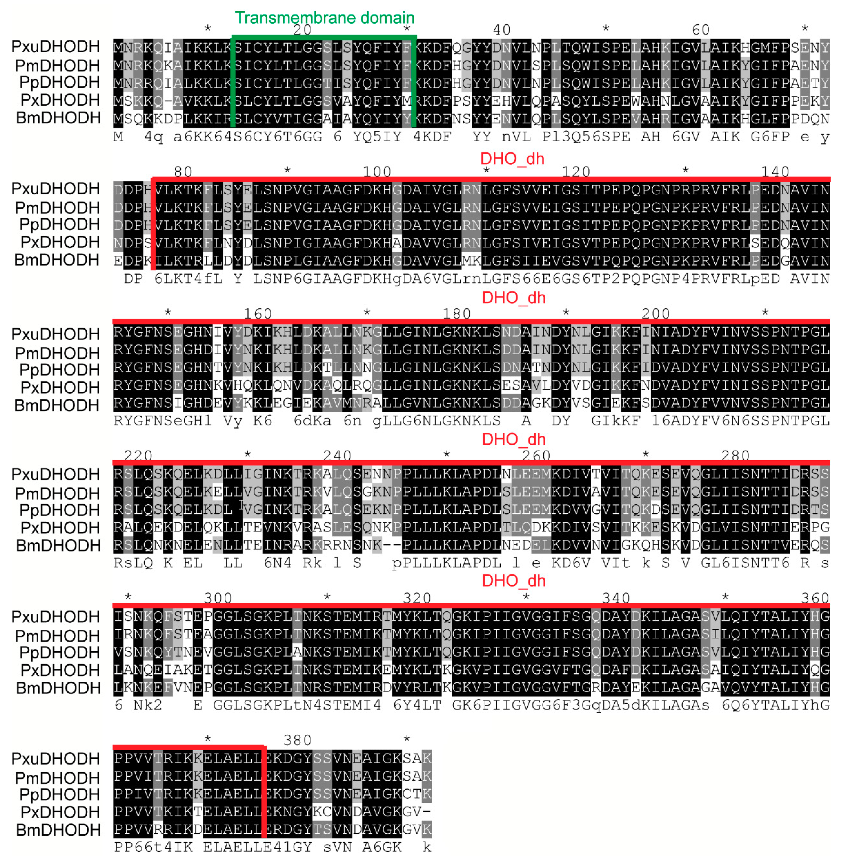 Ijms 19 02581 g003 Ijms 19 02581 g003