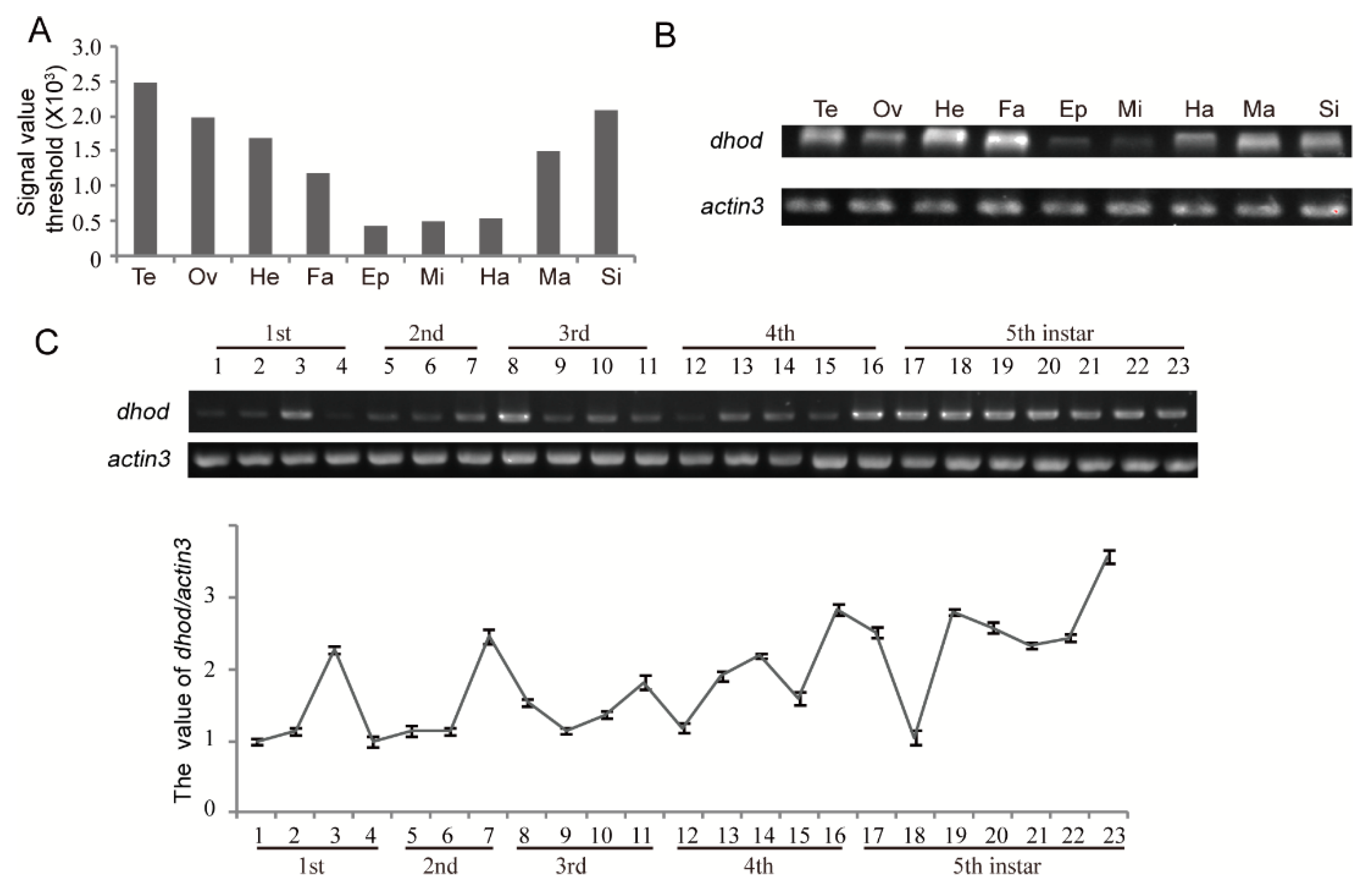 Ijms 19 02581 g004 Ijms 19 02581 g004