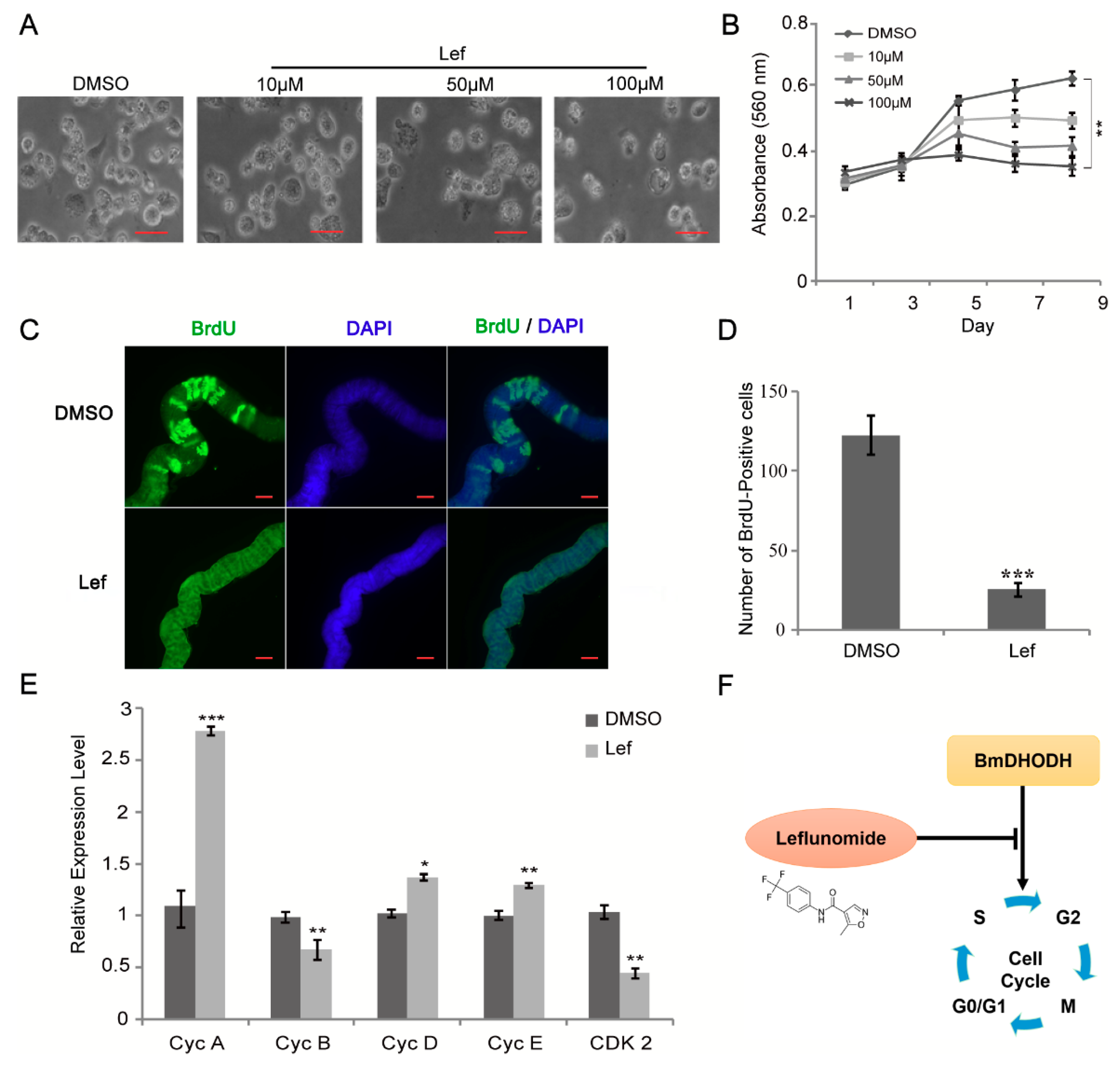 Ijms 19 02581 g006 Ijms 19 02581 g006