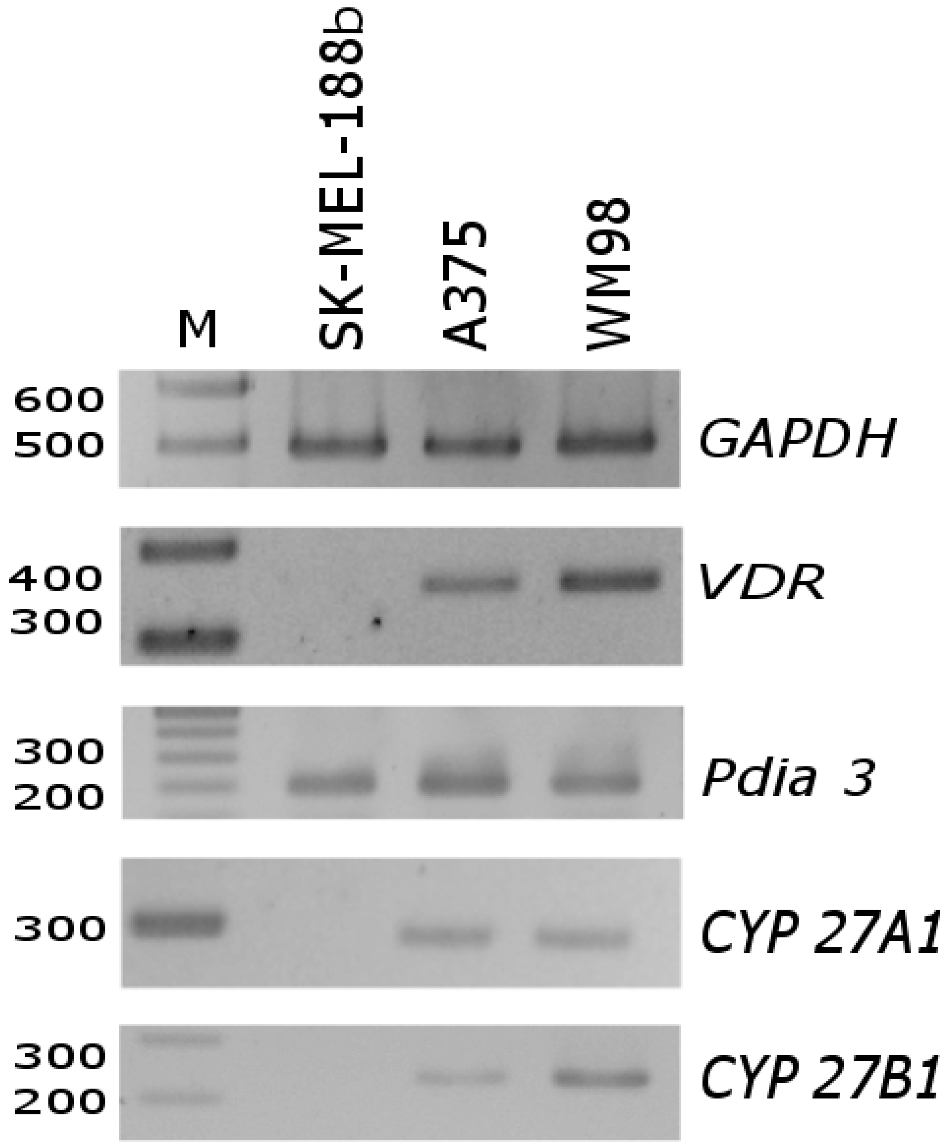 Ijms 19 02583 g003 Ijms 19 02583 g003