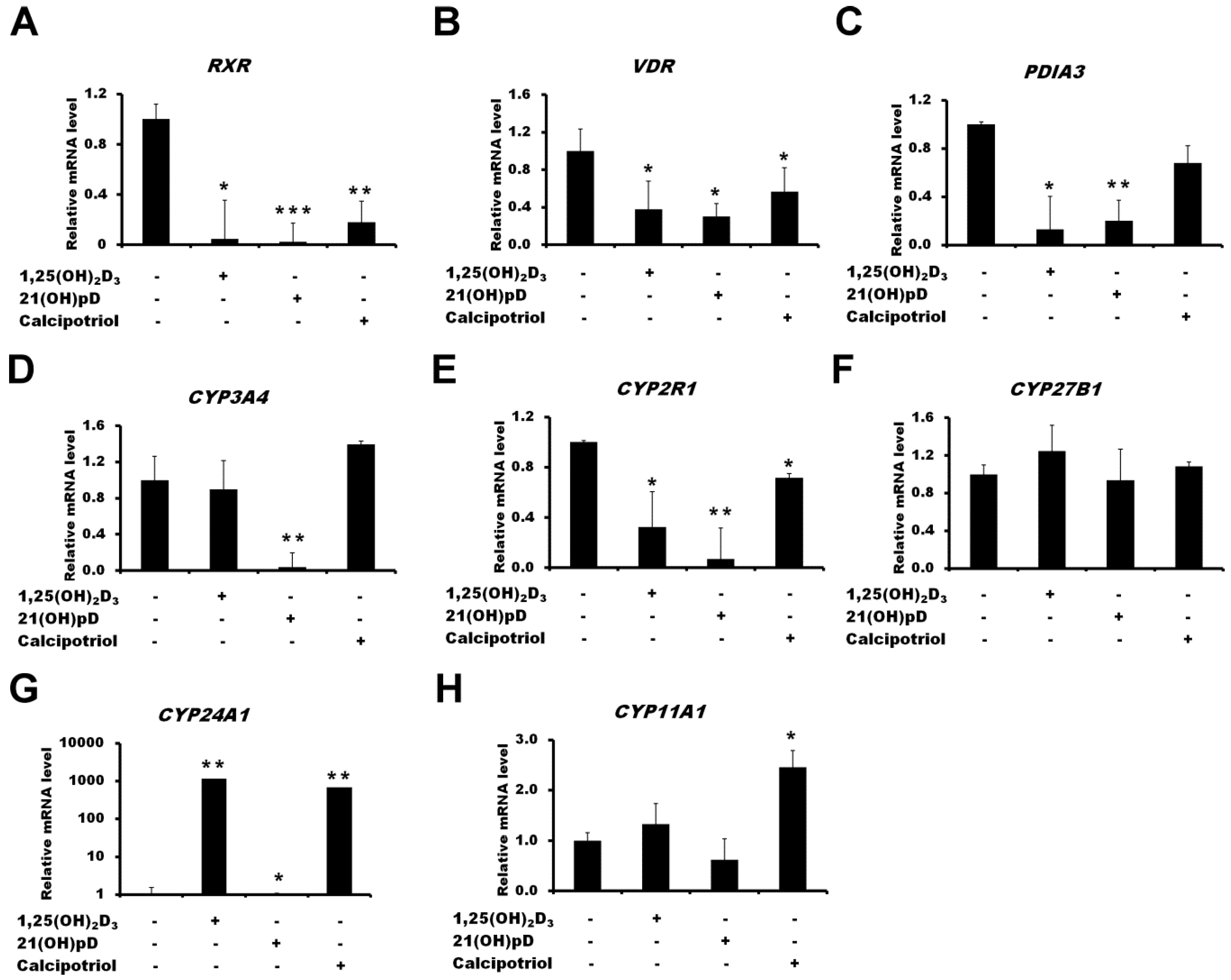 Ijms 19 02583 g005 Ijms 19 02583 g005