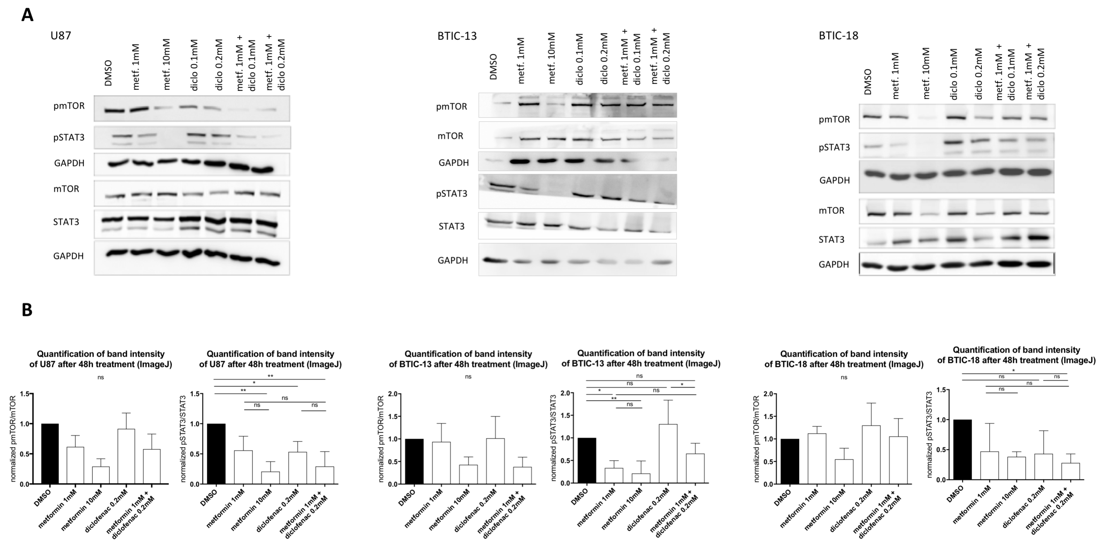 Ijms 19 02586 g004 Ijms 19 02586 g004