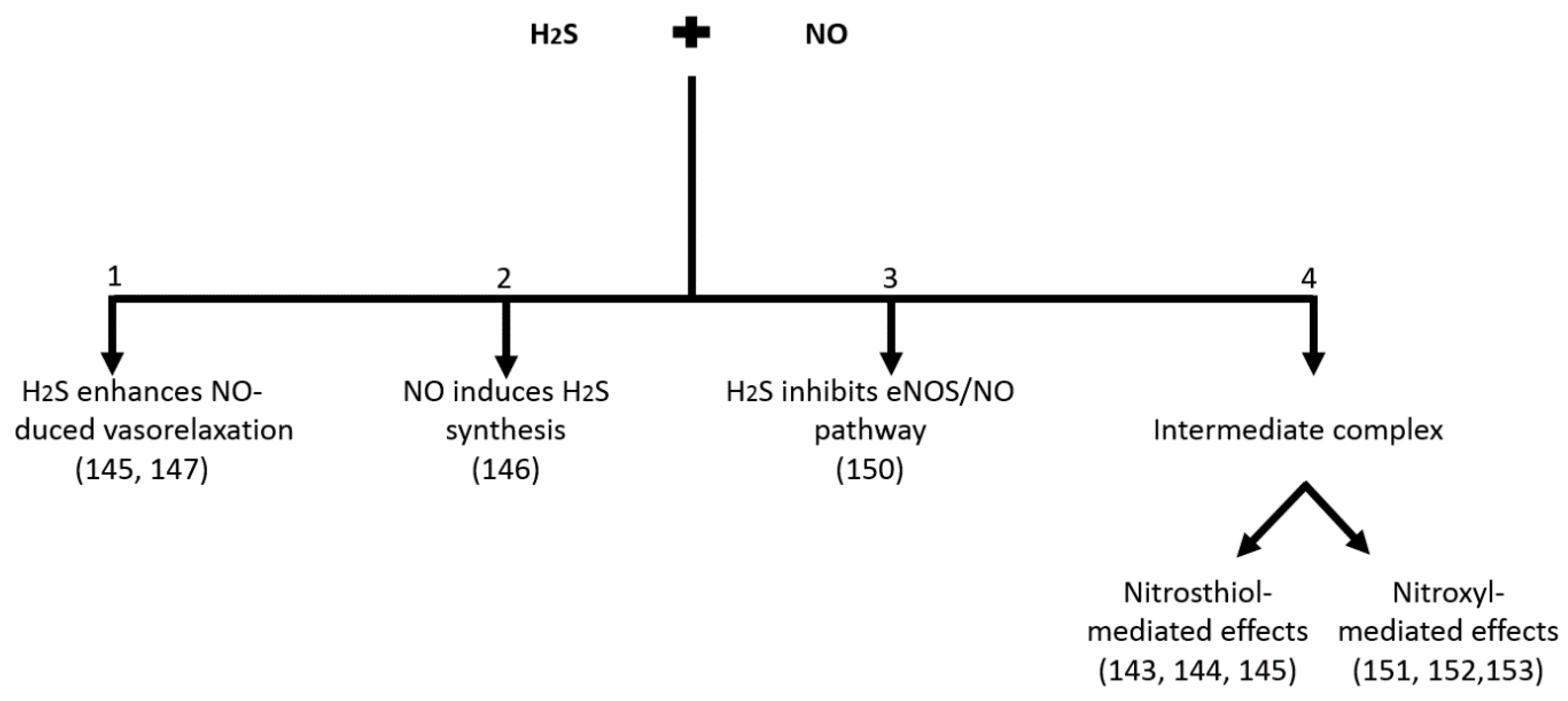 Ijms 19 02605 g003 Ijms 19 02605 g003