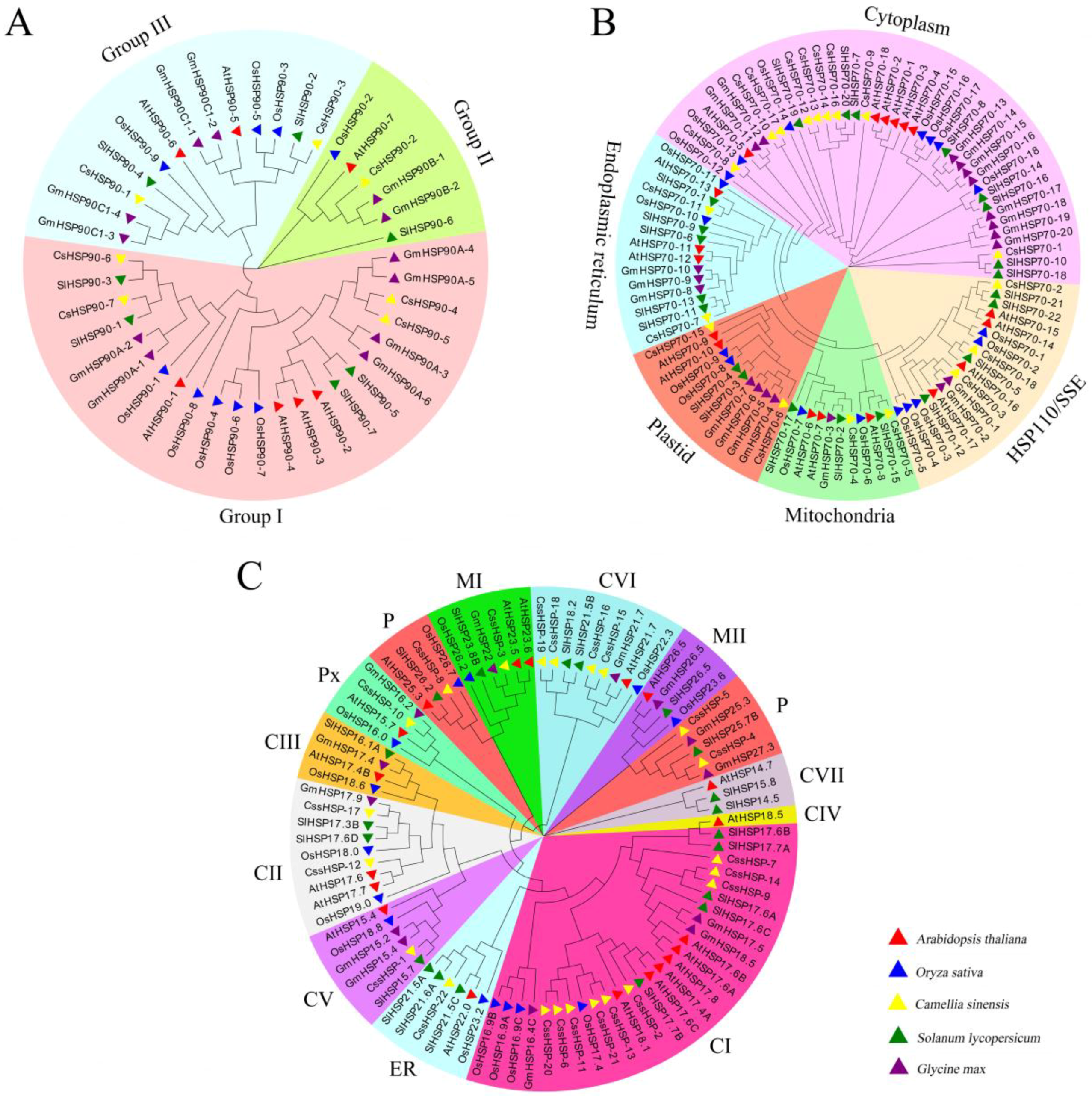 Ijms 19 02633 g002 Ijms 19 02633 g002