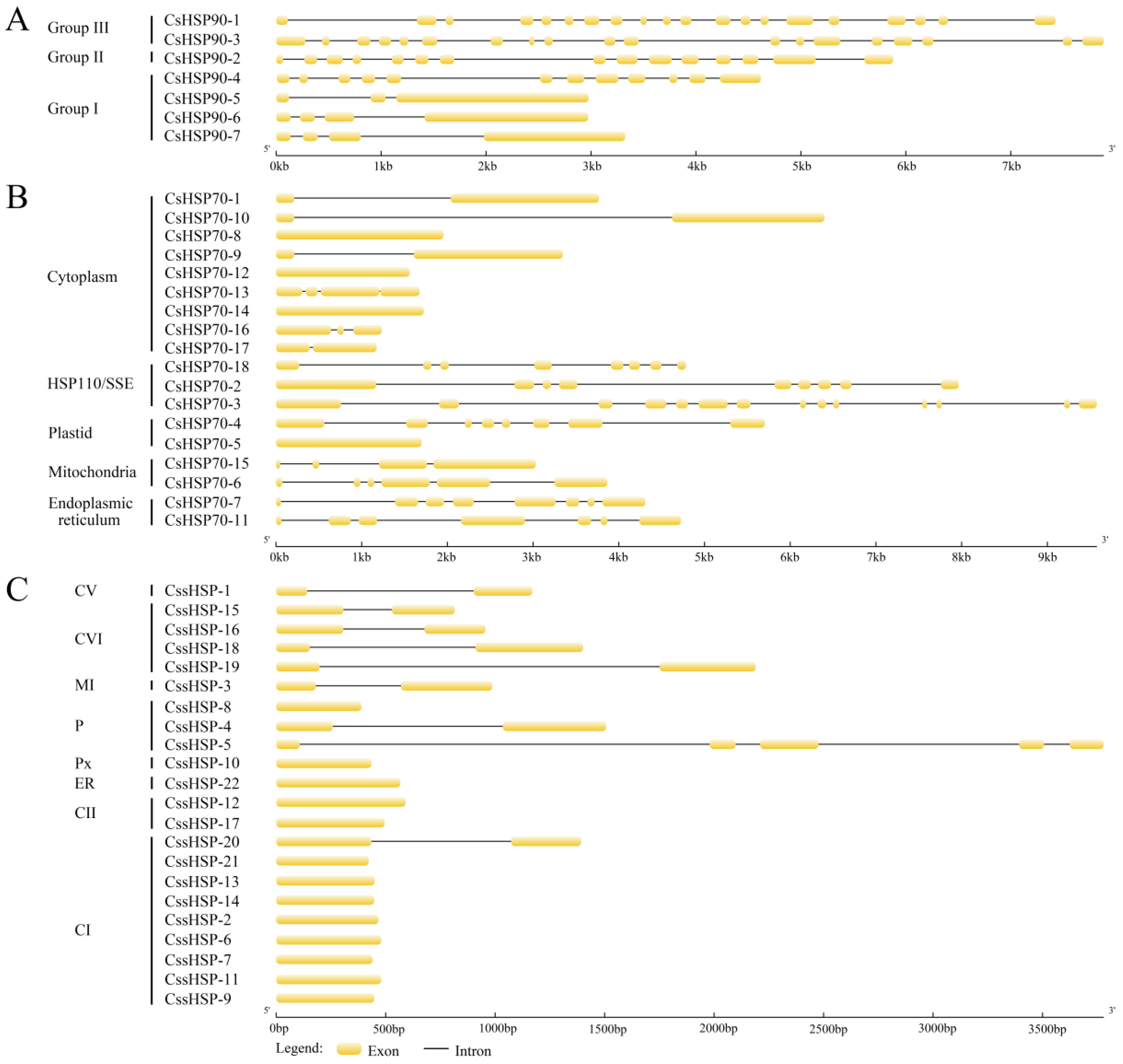 Ijms 19 02633 g003 Ijms 19 02633 g003