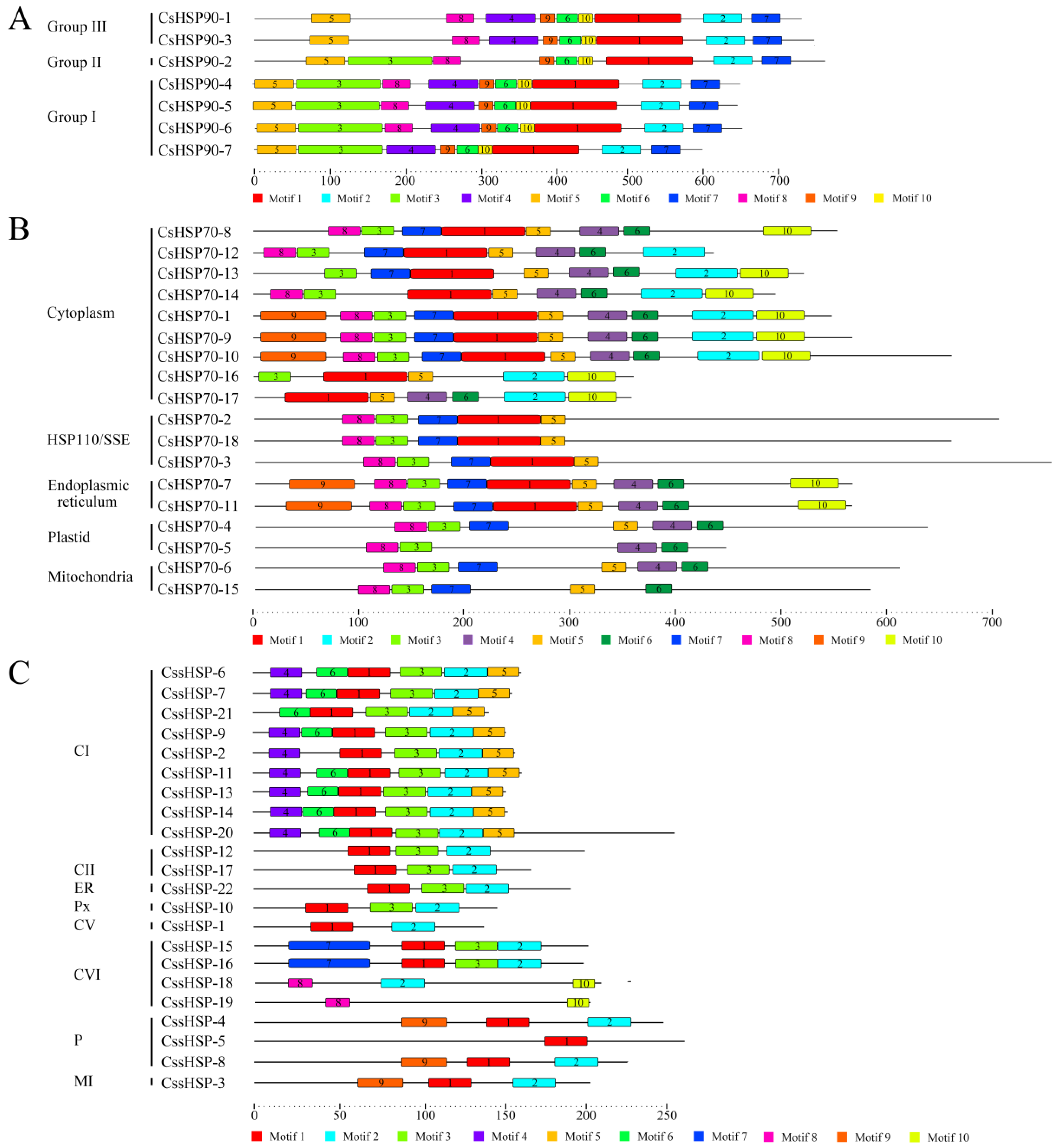 Ijms 19 02633 g004 Ijms 19 02633 g004
