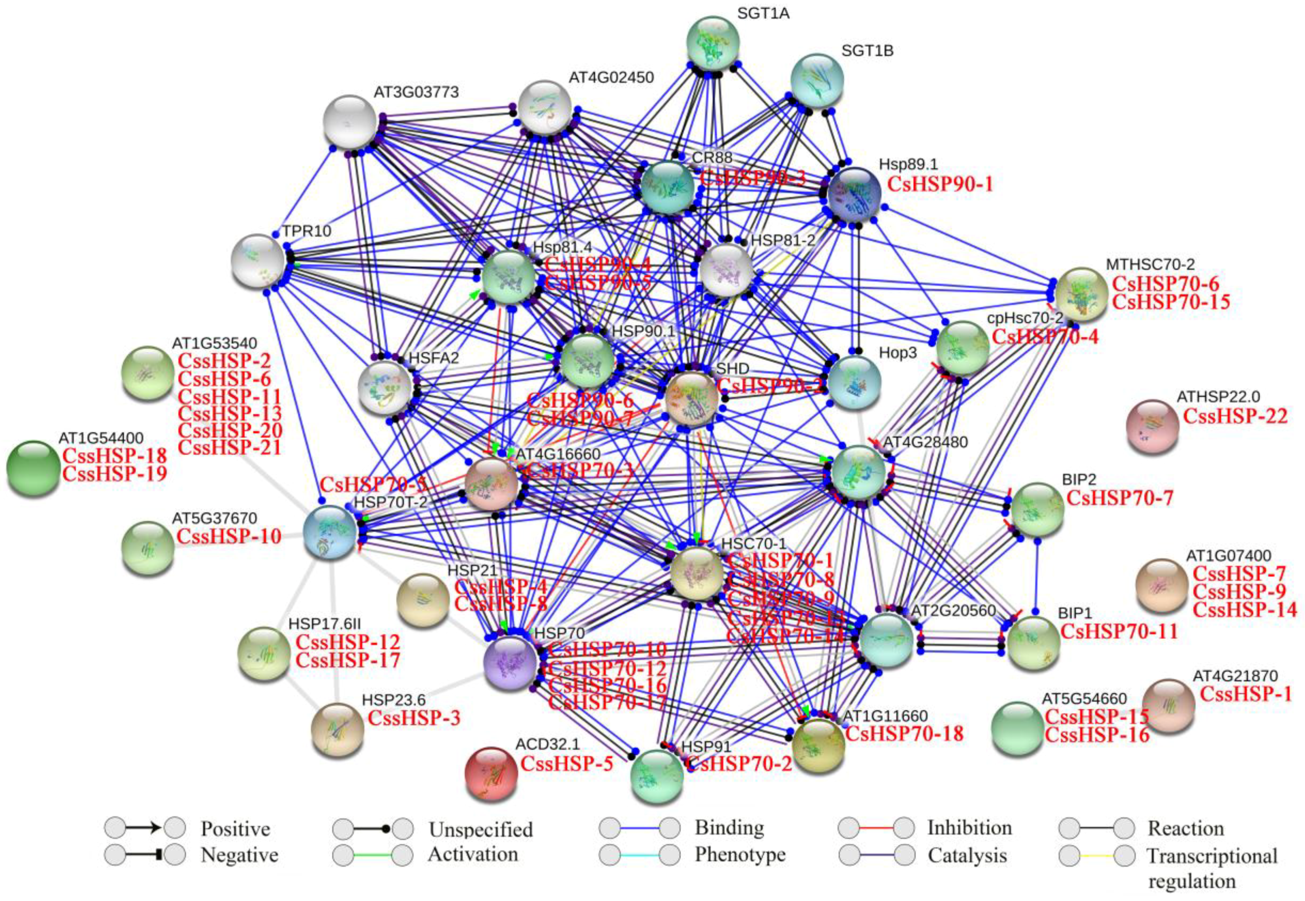 Ijms 19 02633 g005 Ijms 19 02633 g005