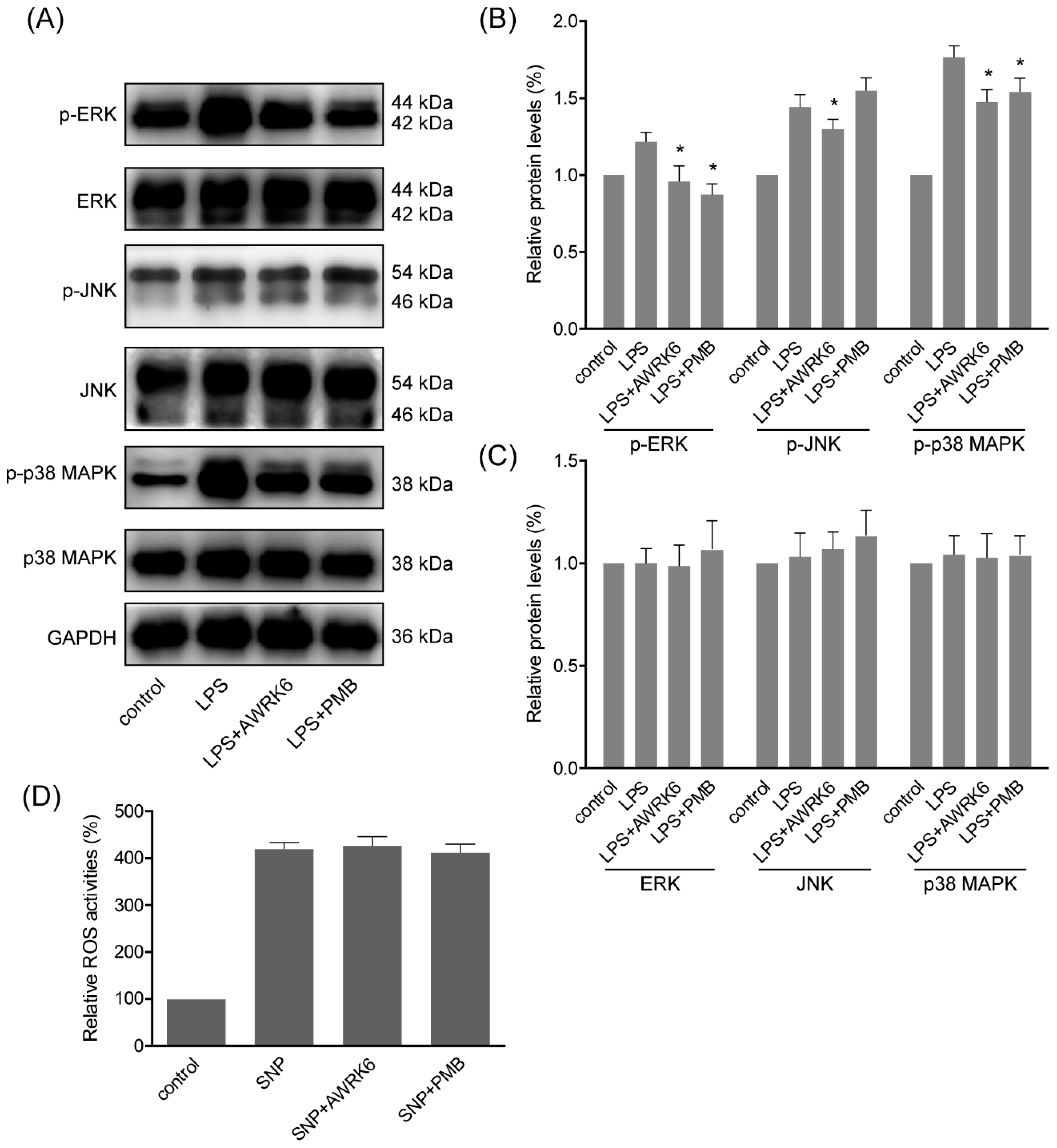 Ijms 19 02661 g004 Ijms 19 02661 g004
