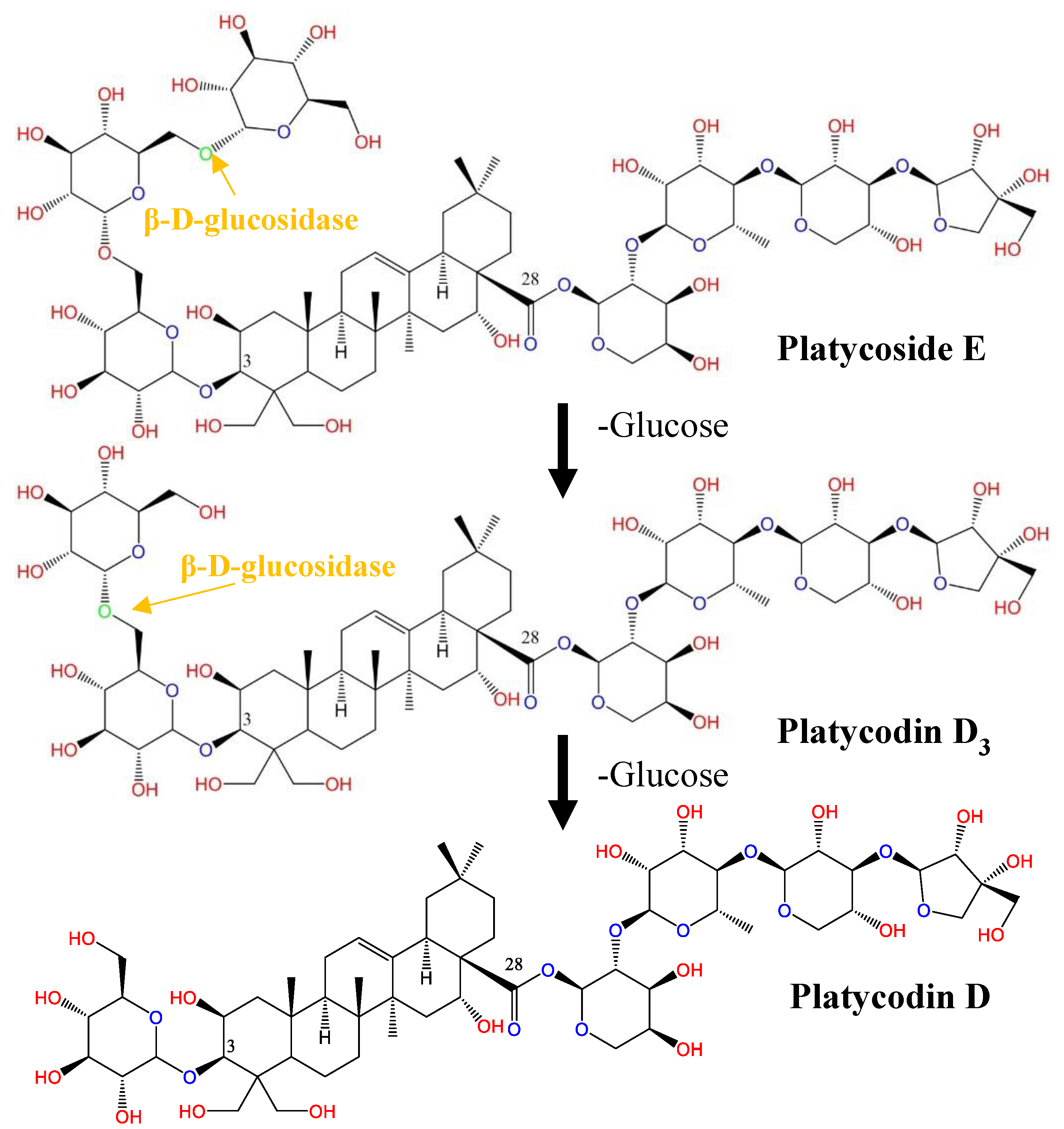Ijms 19 02671 g003 Ijms 19 02671 g003