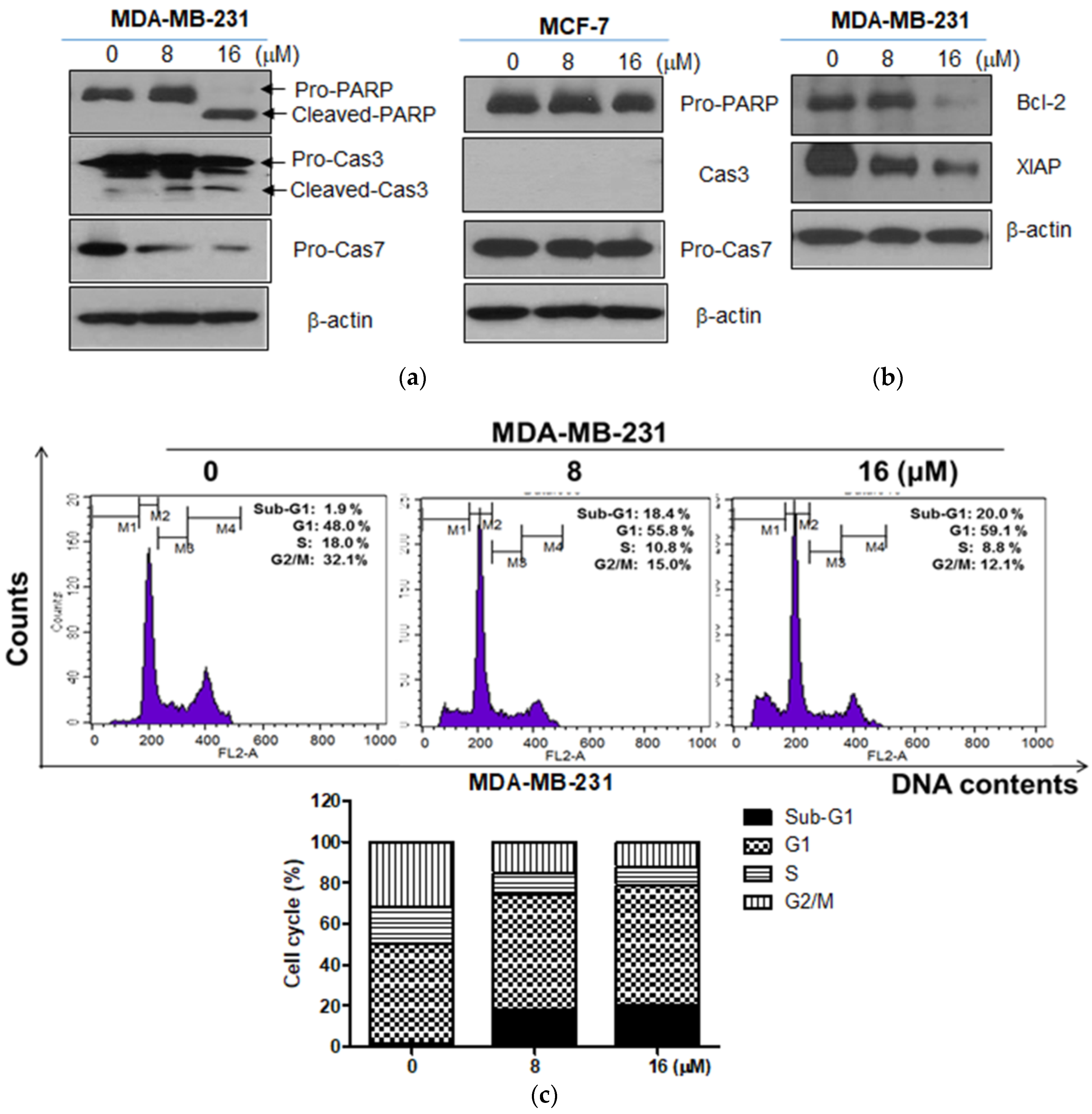 Ijms 19 02681 g002
