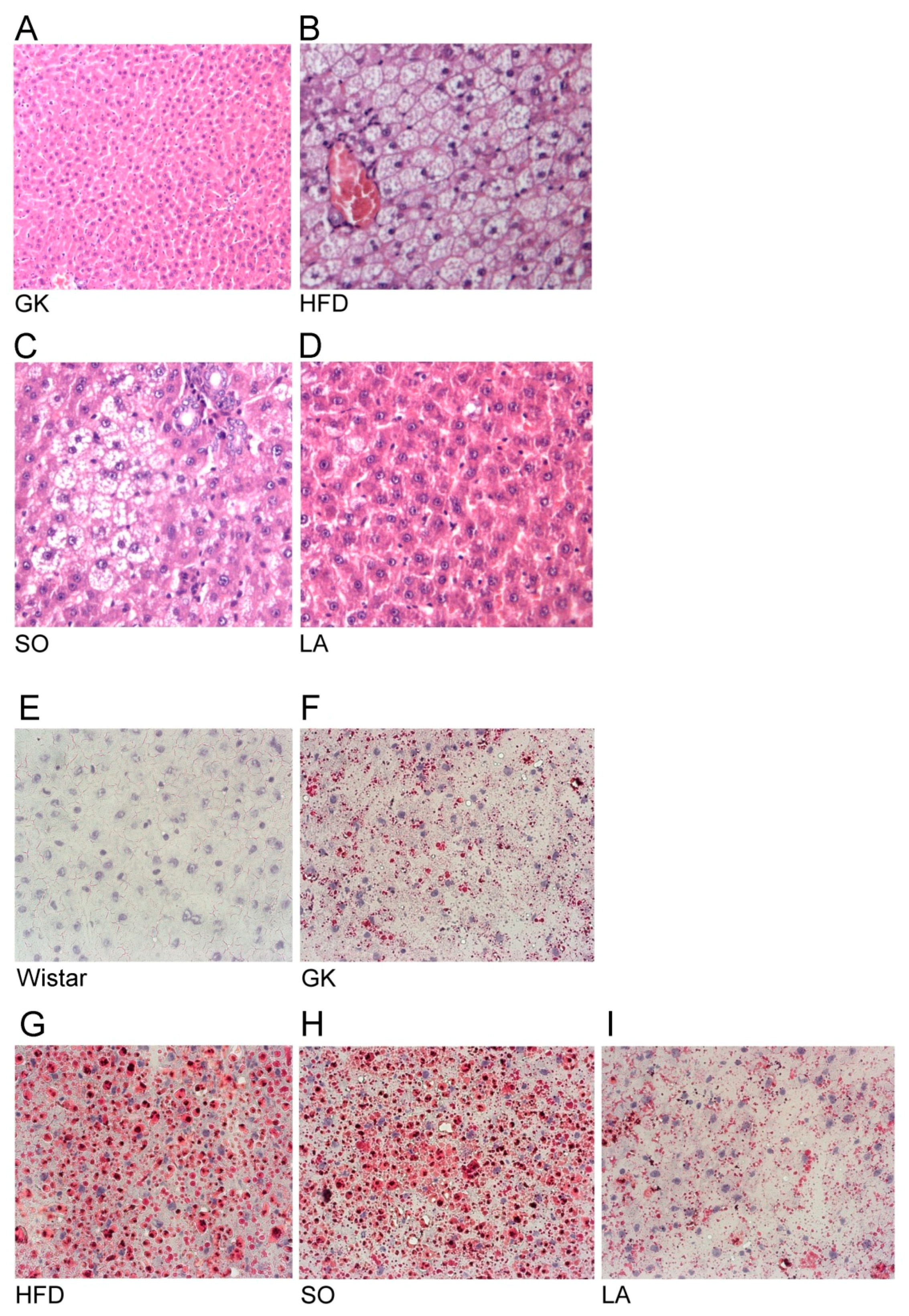 Ijms 19 02706 g001 Ijms 19 02706 g001