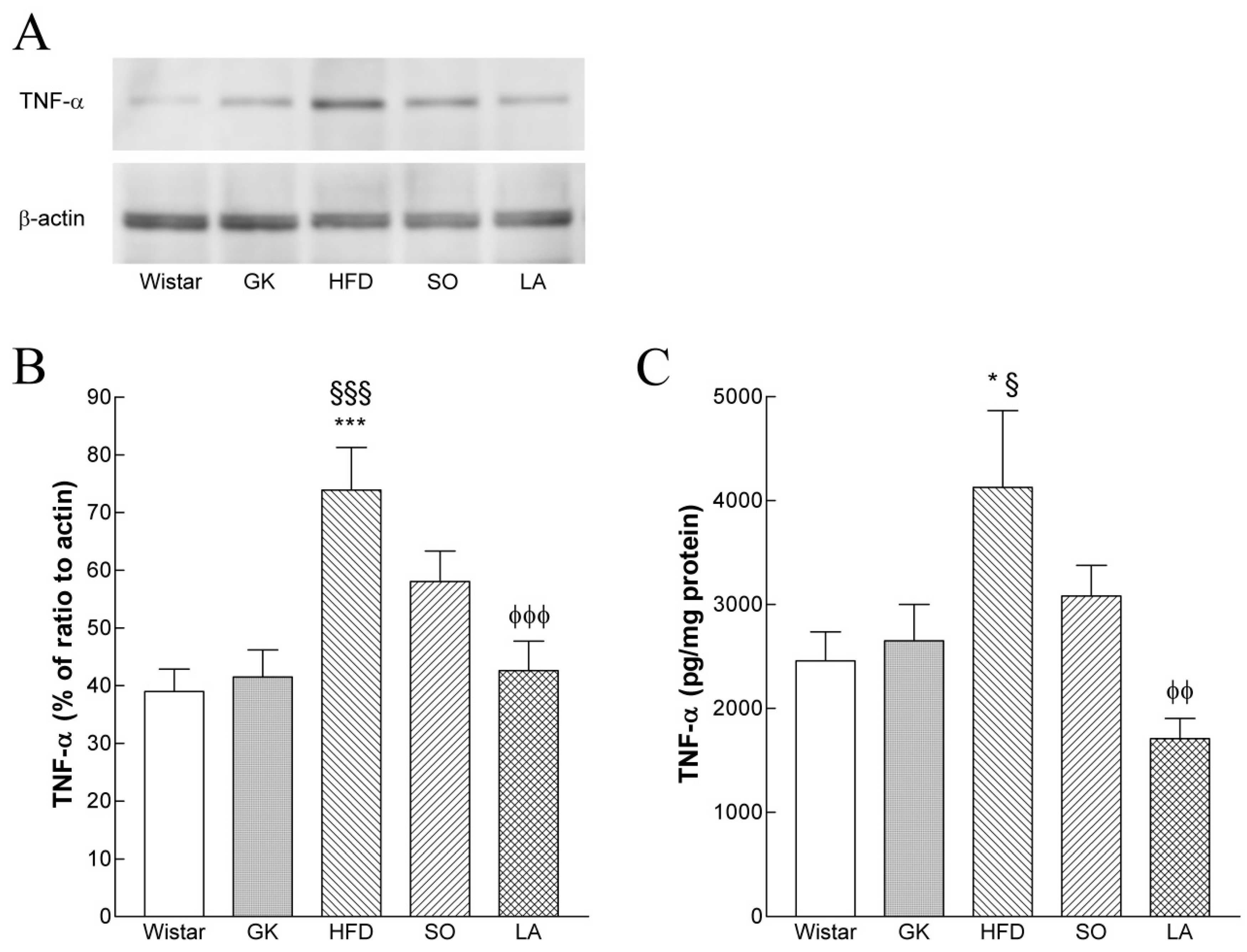 Ijms 19 02706 g004 Ijms 19 02706 g004