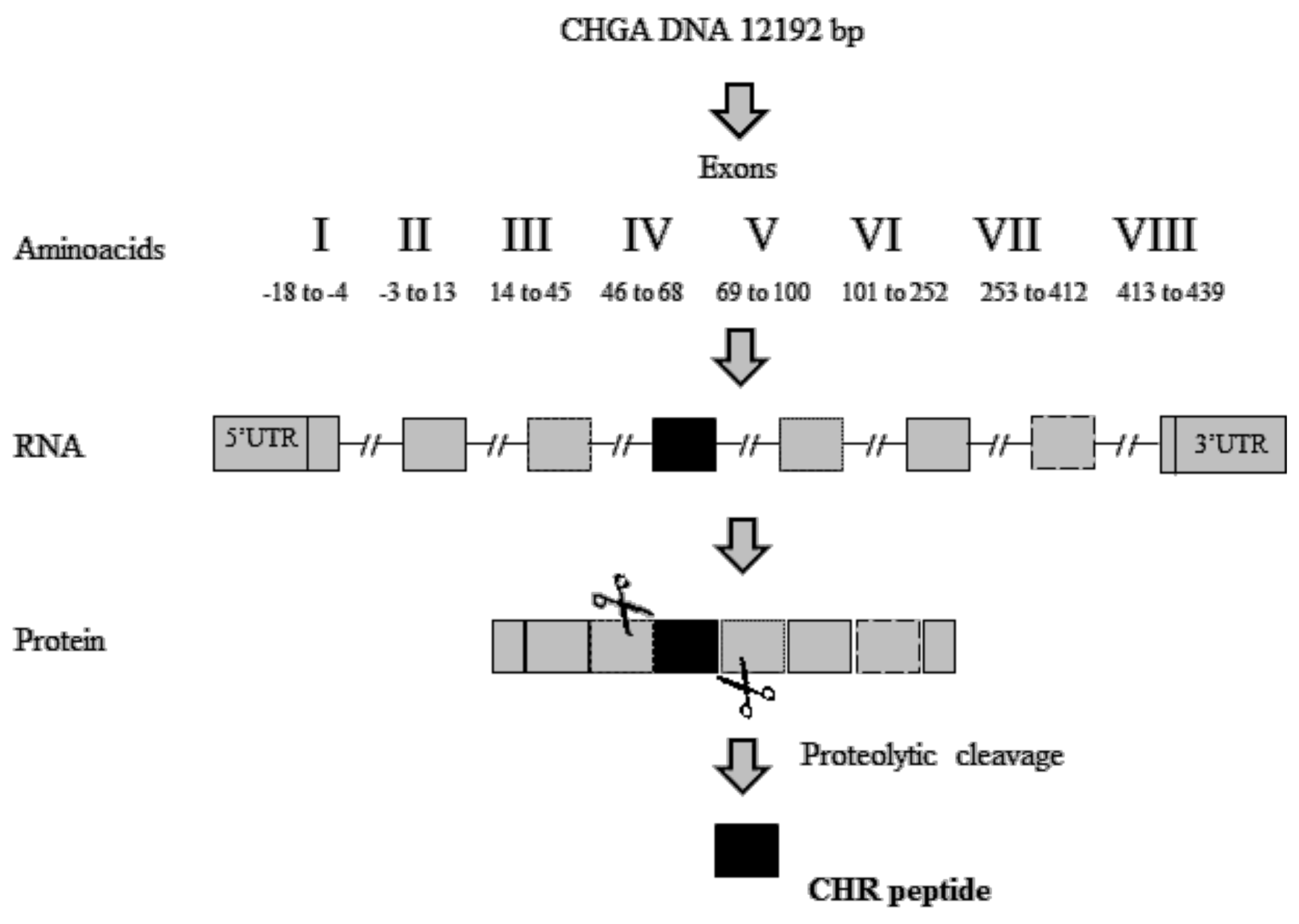 Ijms 19 02714 g003 Ijms 19 02714 g003