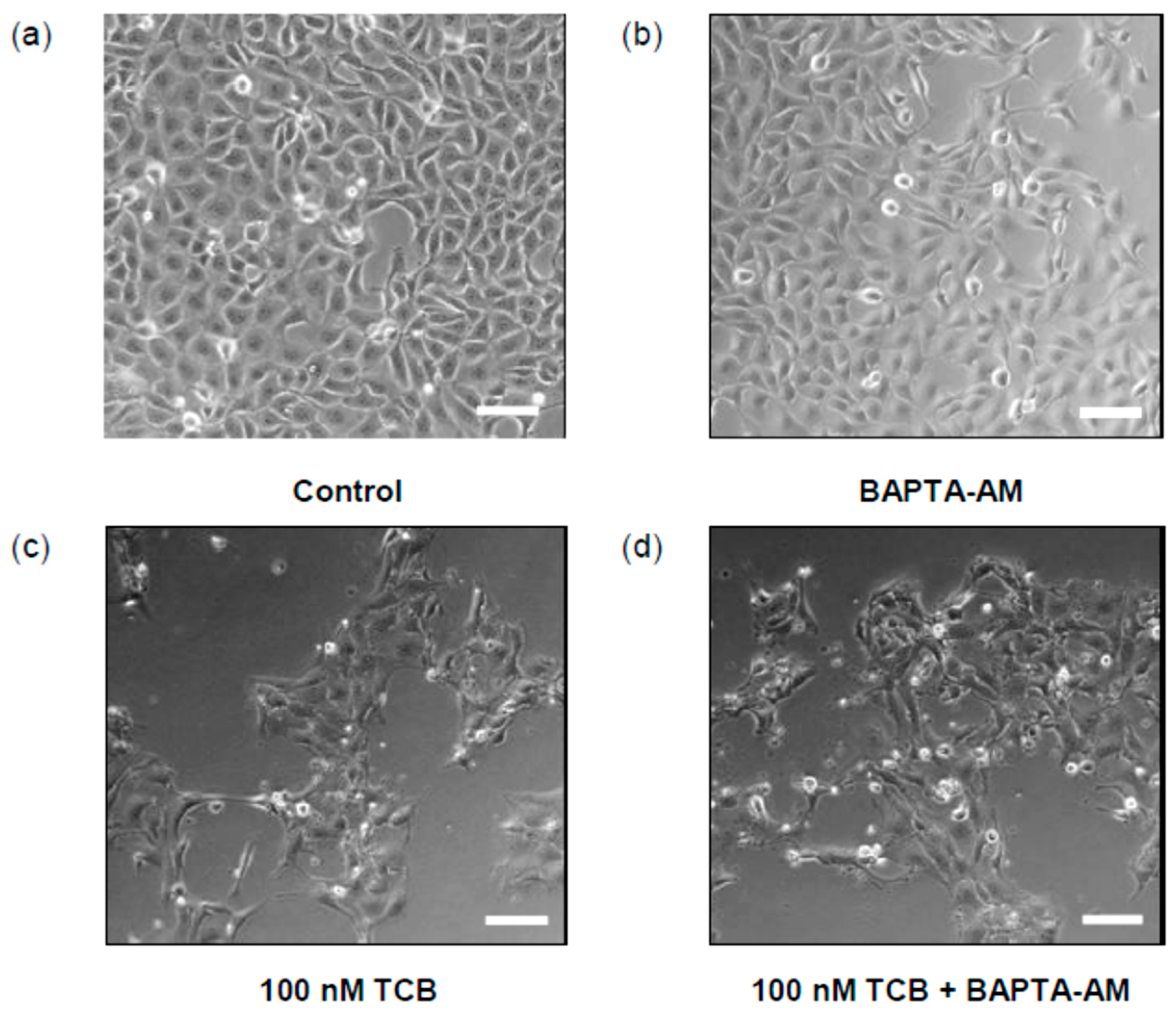 Ijms 19 02769 g008 Ijms 19 02769 g008