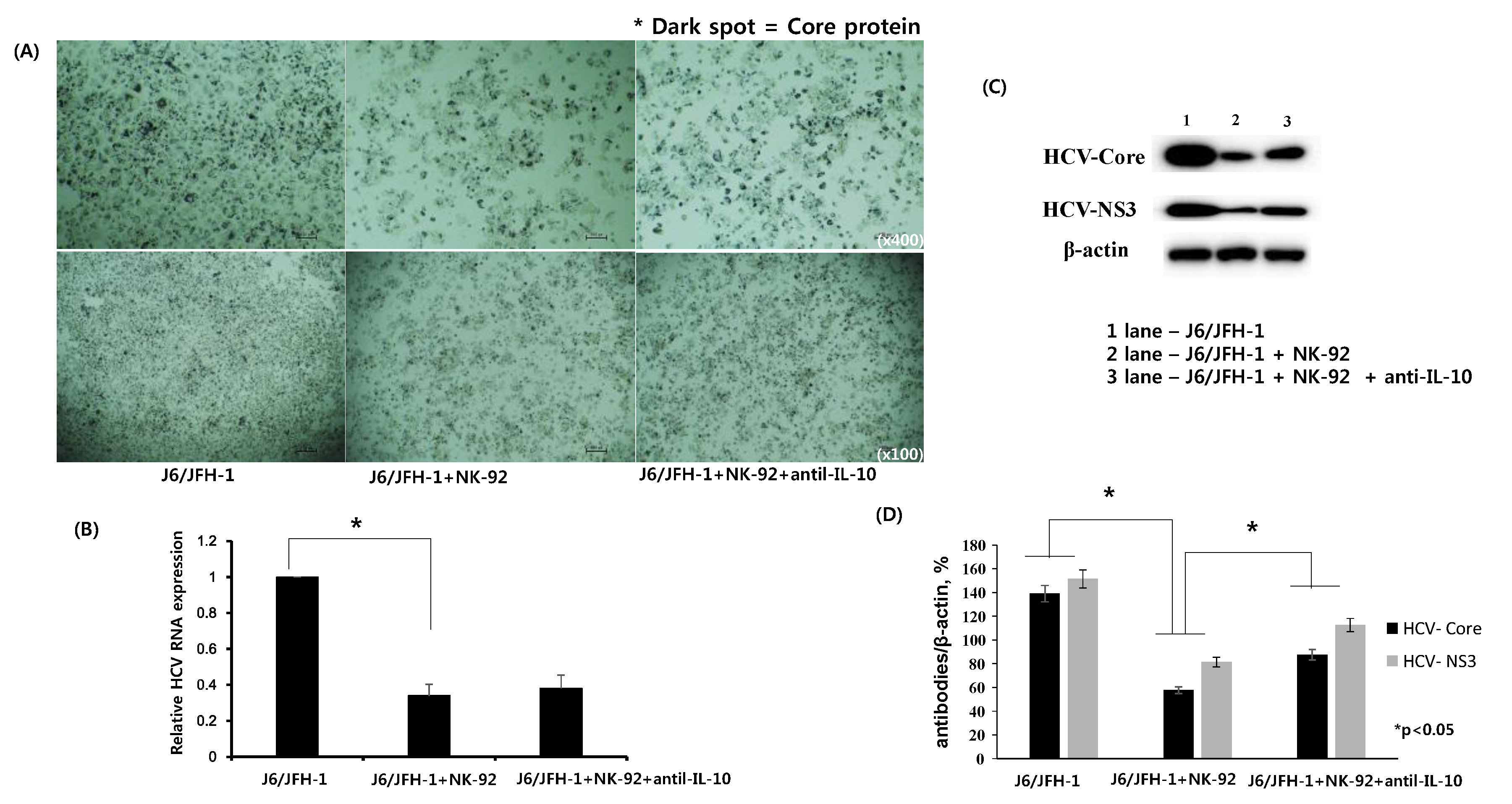 Ijms 19 02771 g002 Ijms 19 02771 g002