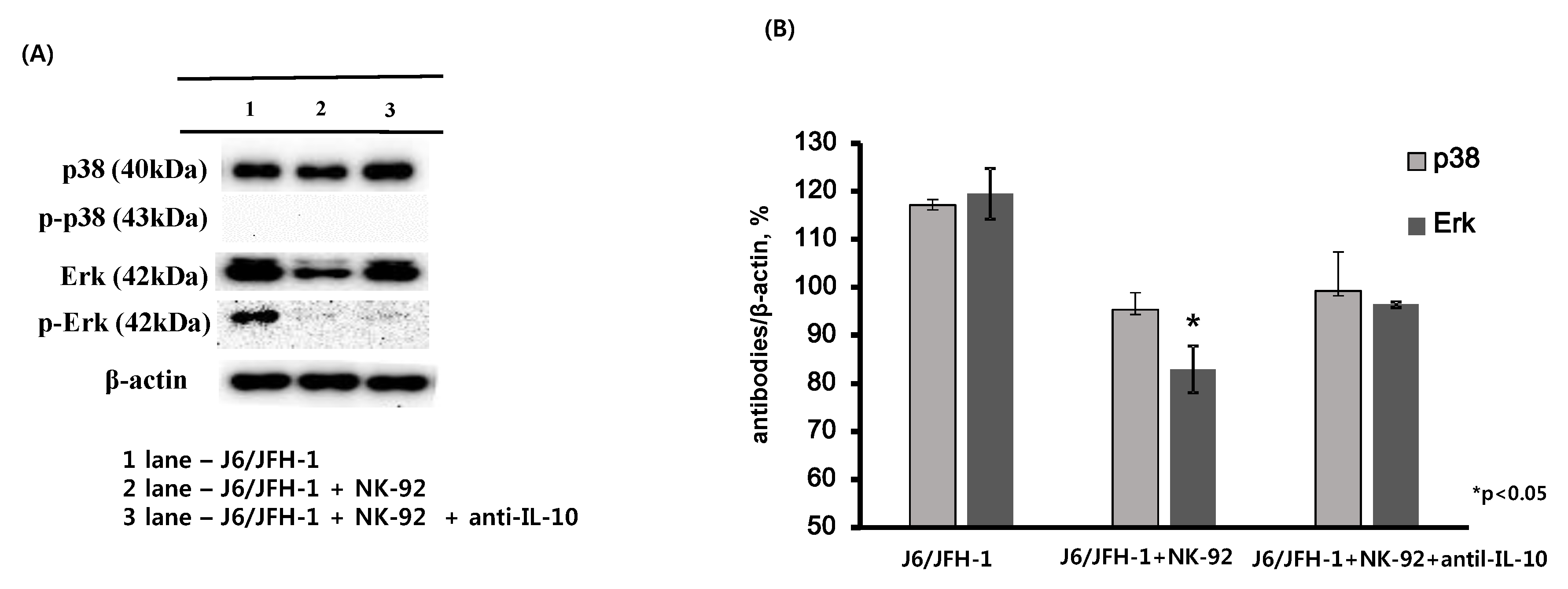 Ijms 19 02771 g003 Ijms 19 02771 g003